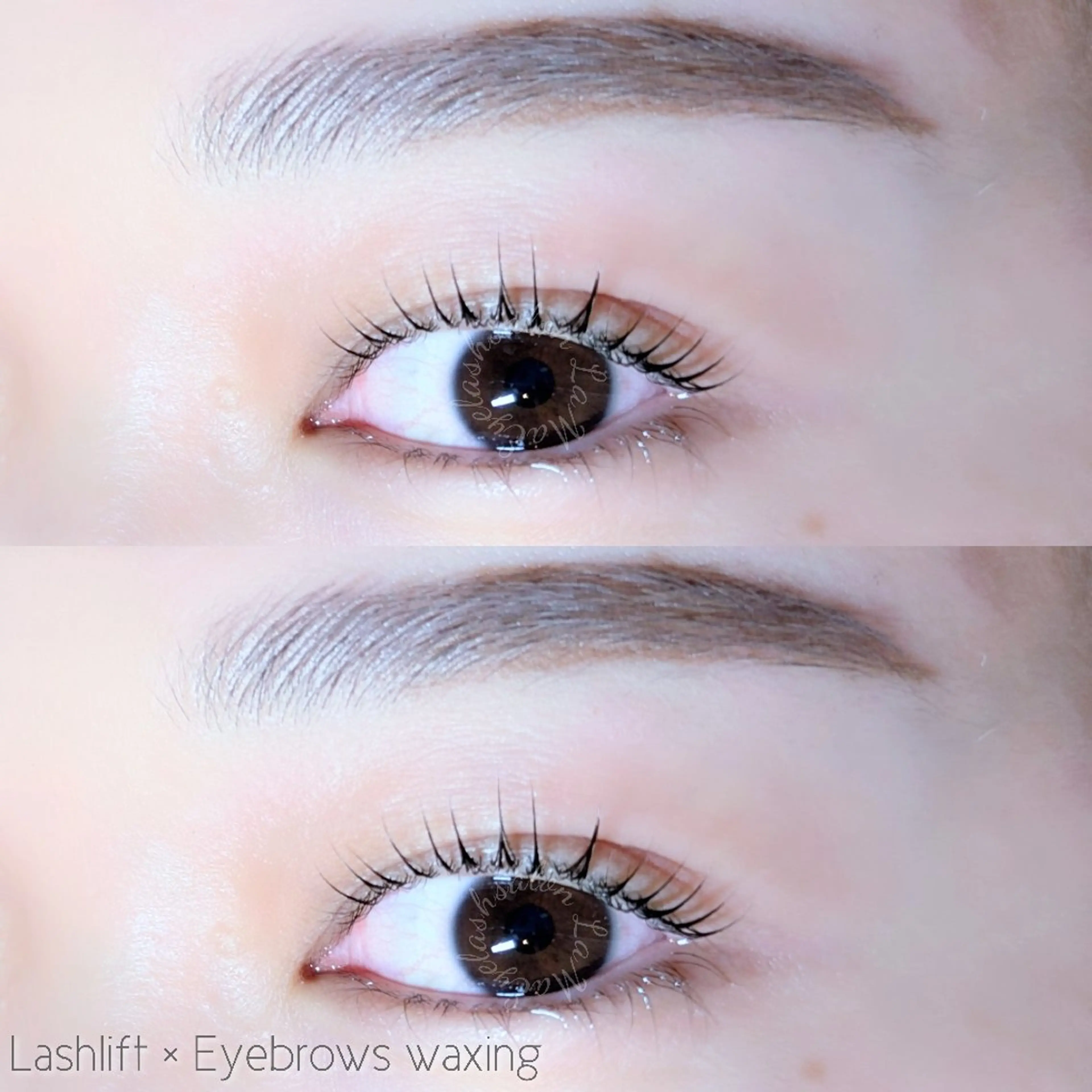 🤎アイブロウ&ラッシュリフト🤎土日祝+550円/リピーター様+550円/指定日時外+300円の写真