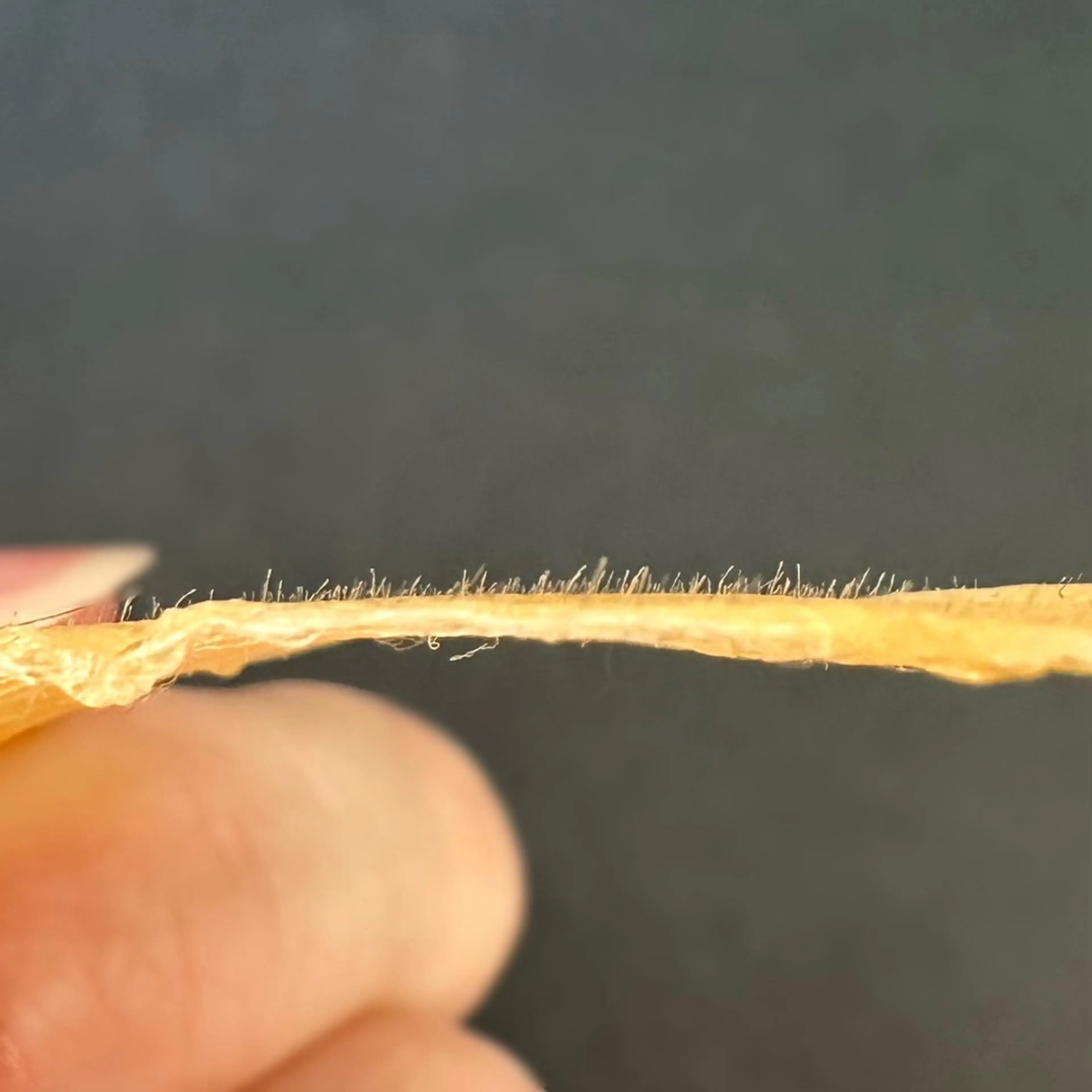 An'me ☺︎のマツエク・マツパデザイン