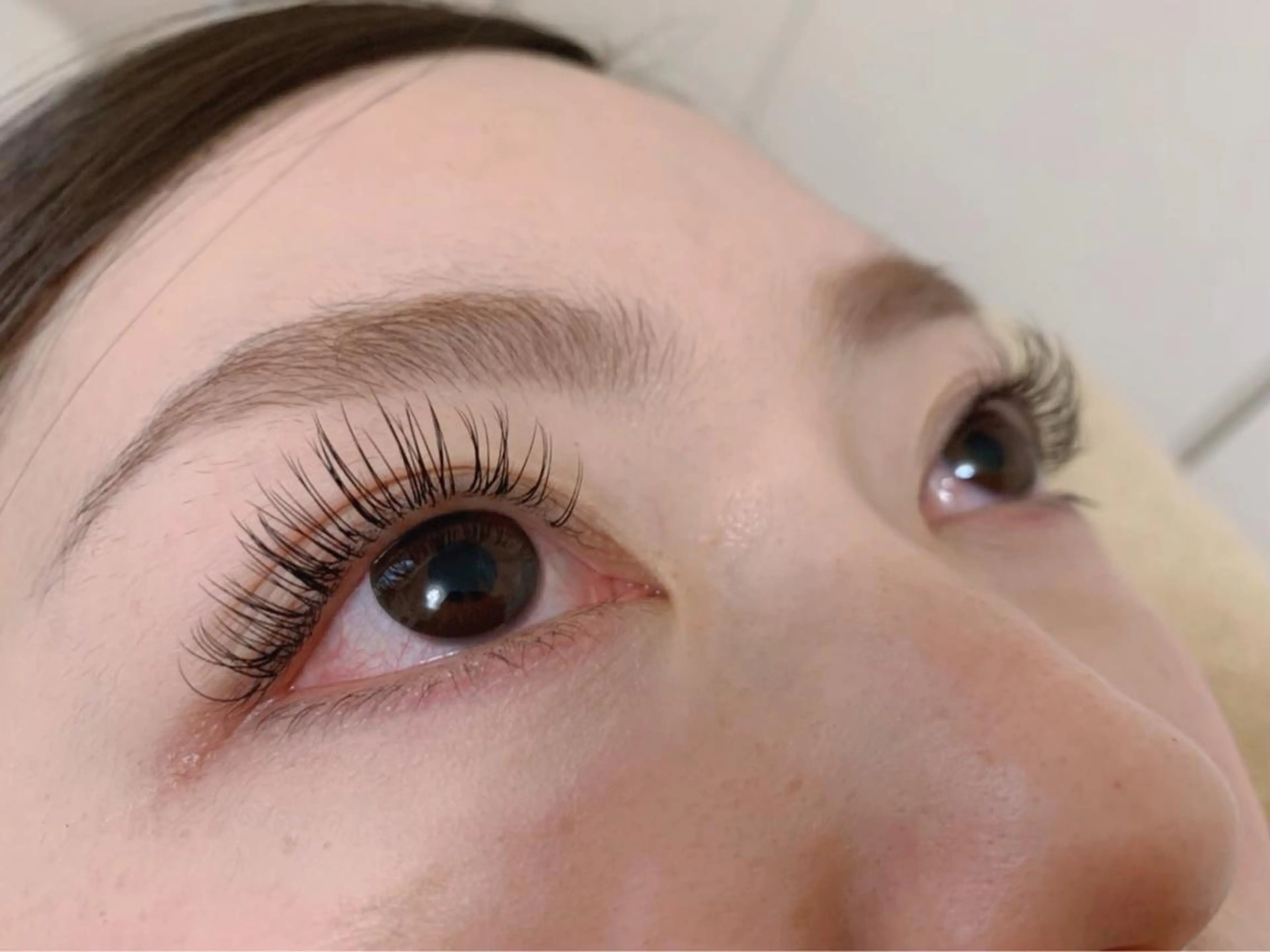 ≪ご新規様限定≫セーブルラッシュ100本まで  (オフ込み・コーティング込)の写真