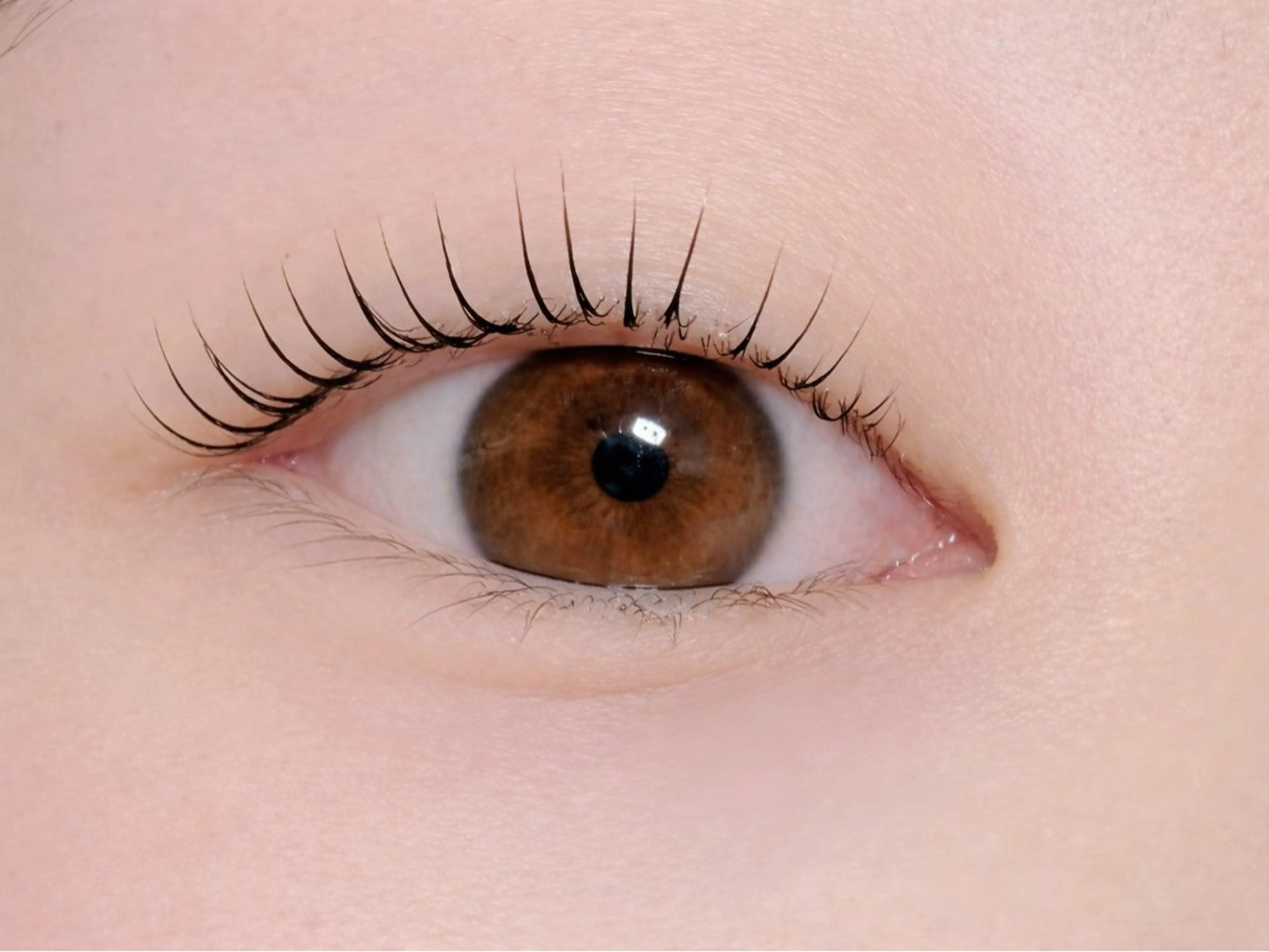 マツエク・マツパ Melia Chieのマツエク・マツパデザイン