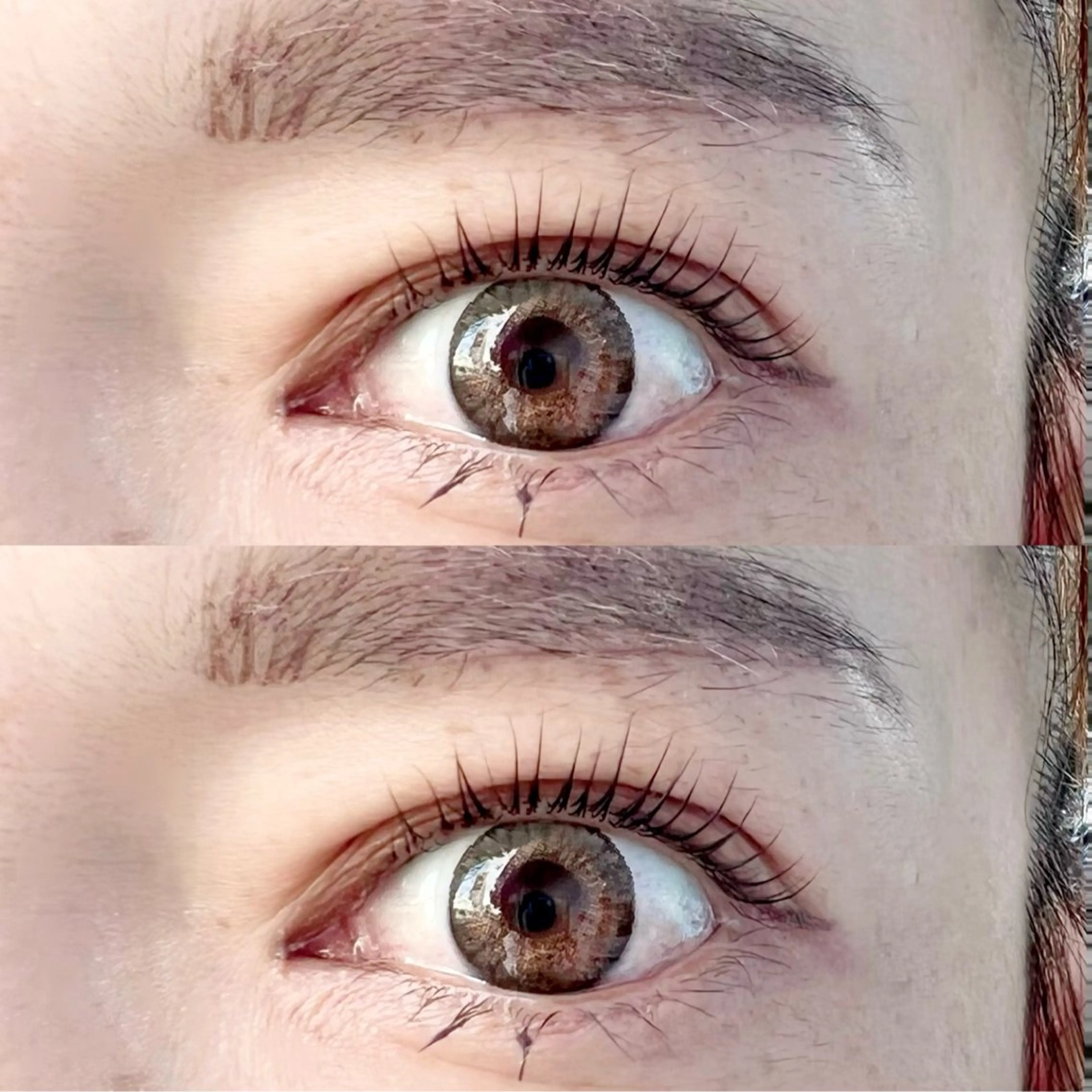 満足度の高い🪞パリジェンヌラッシュリフト🎠 高濃度トリートメント付き💕束感まつげ仕上げ🪽の写真