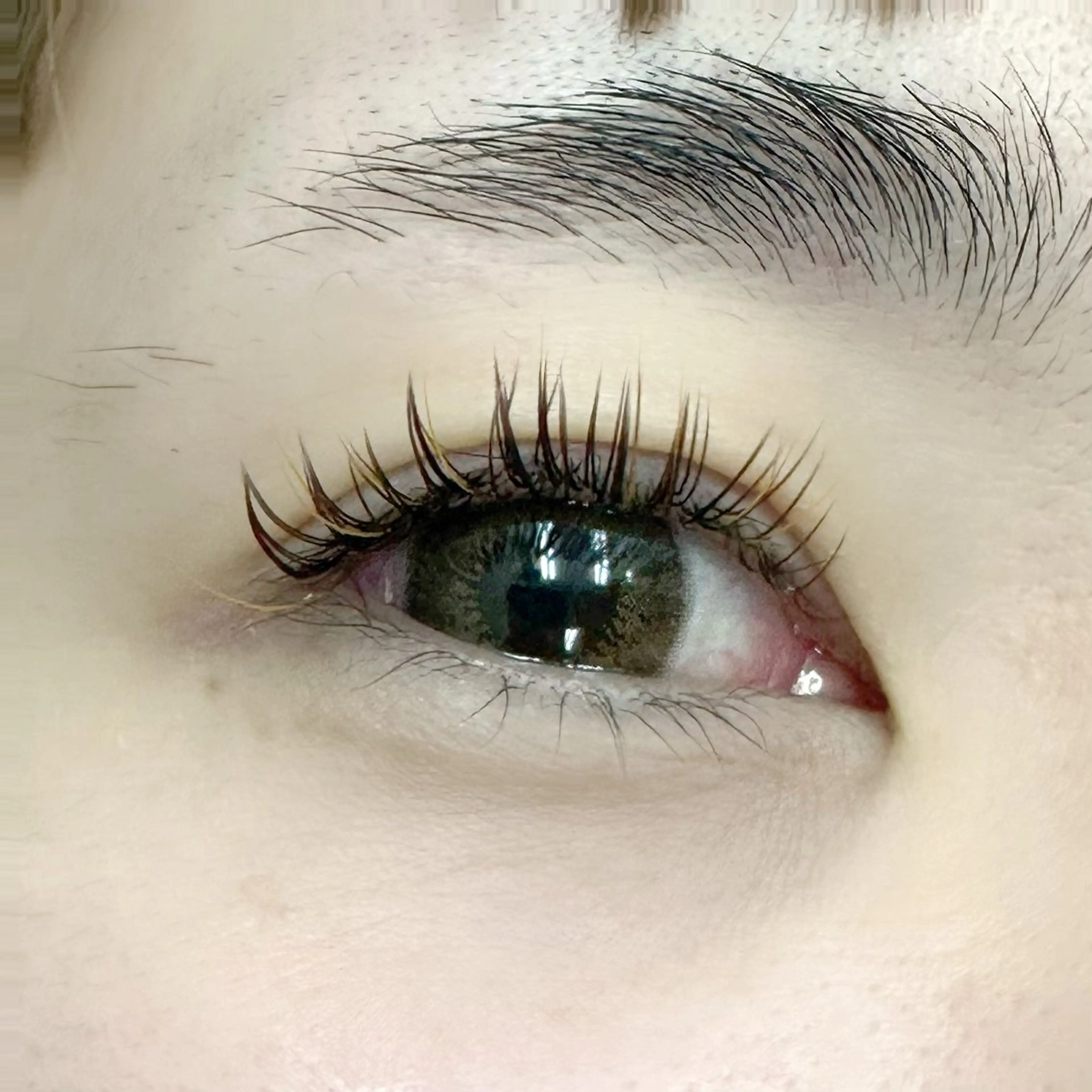 マツエク・マツパ カラーマツエク マツエク Miyu🦄ash メンズカット/まつげのヘアスタイル