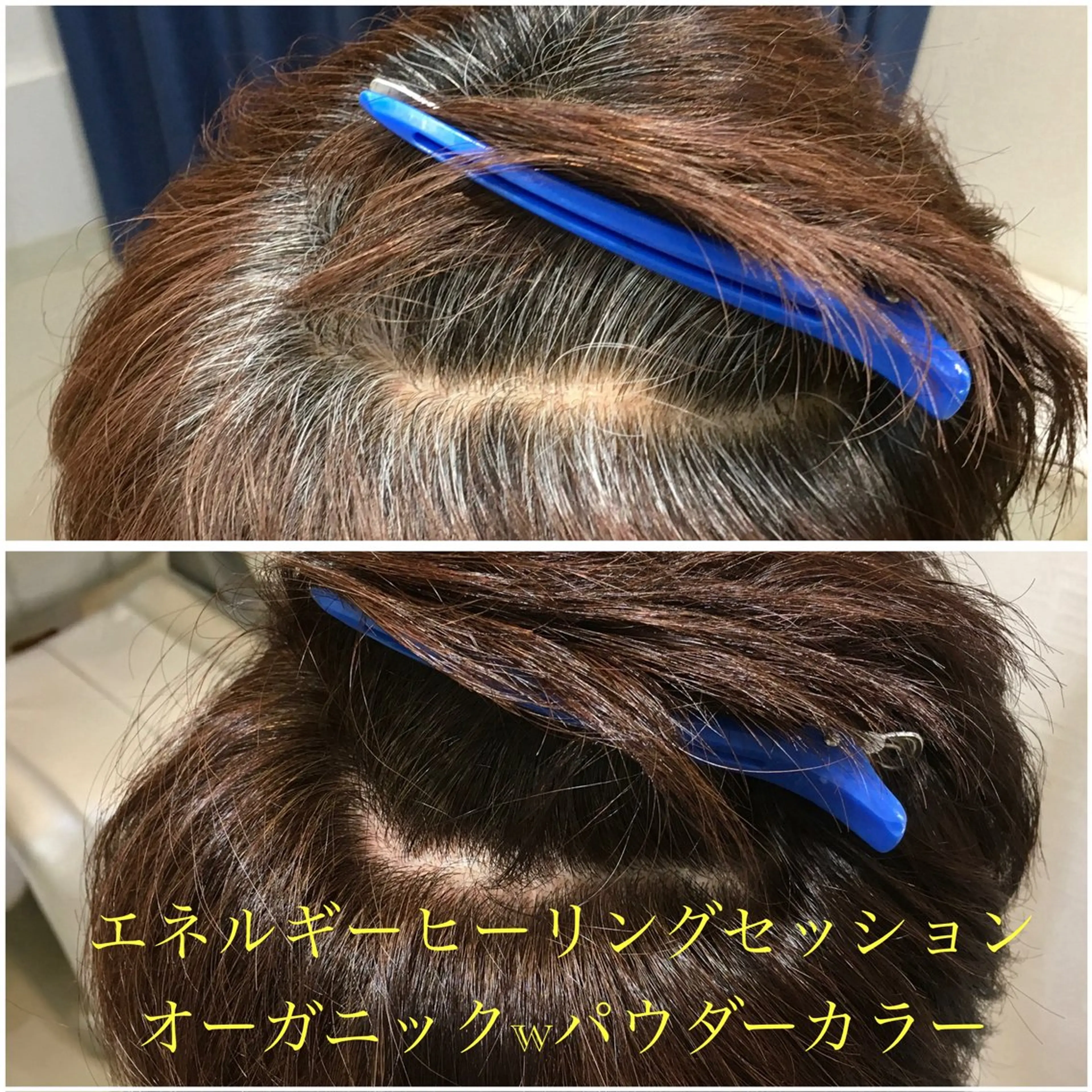エネルギーヒーリングセッションオーガニックWパウダーカラー白髪染 栗色(ブラウン)※アレルギーで一般カラーができない方への写真