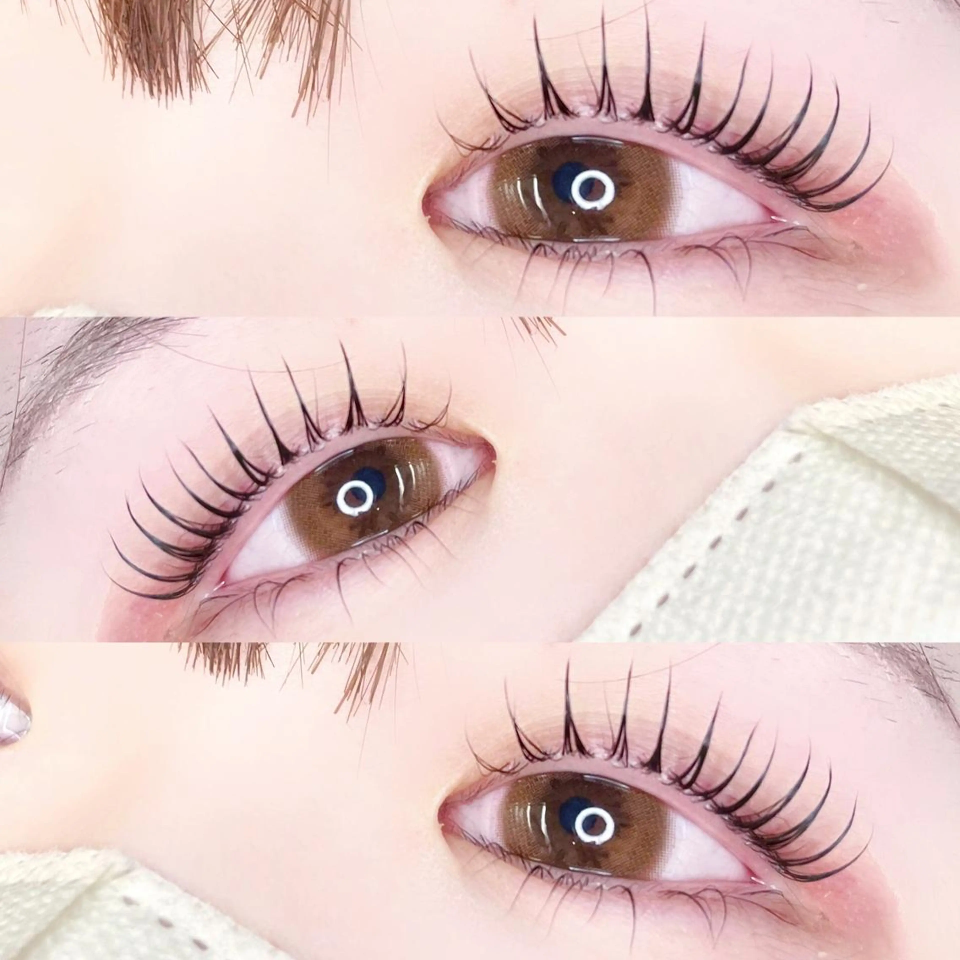 パリジェンヌラッシュリフト上下🌟の写真