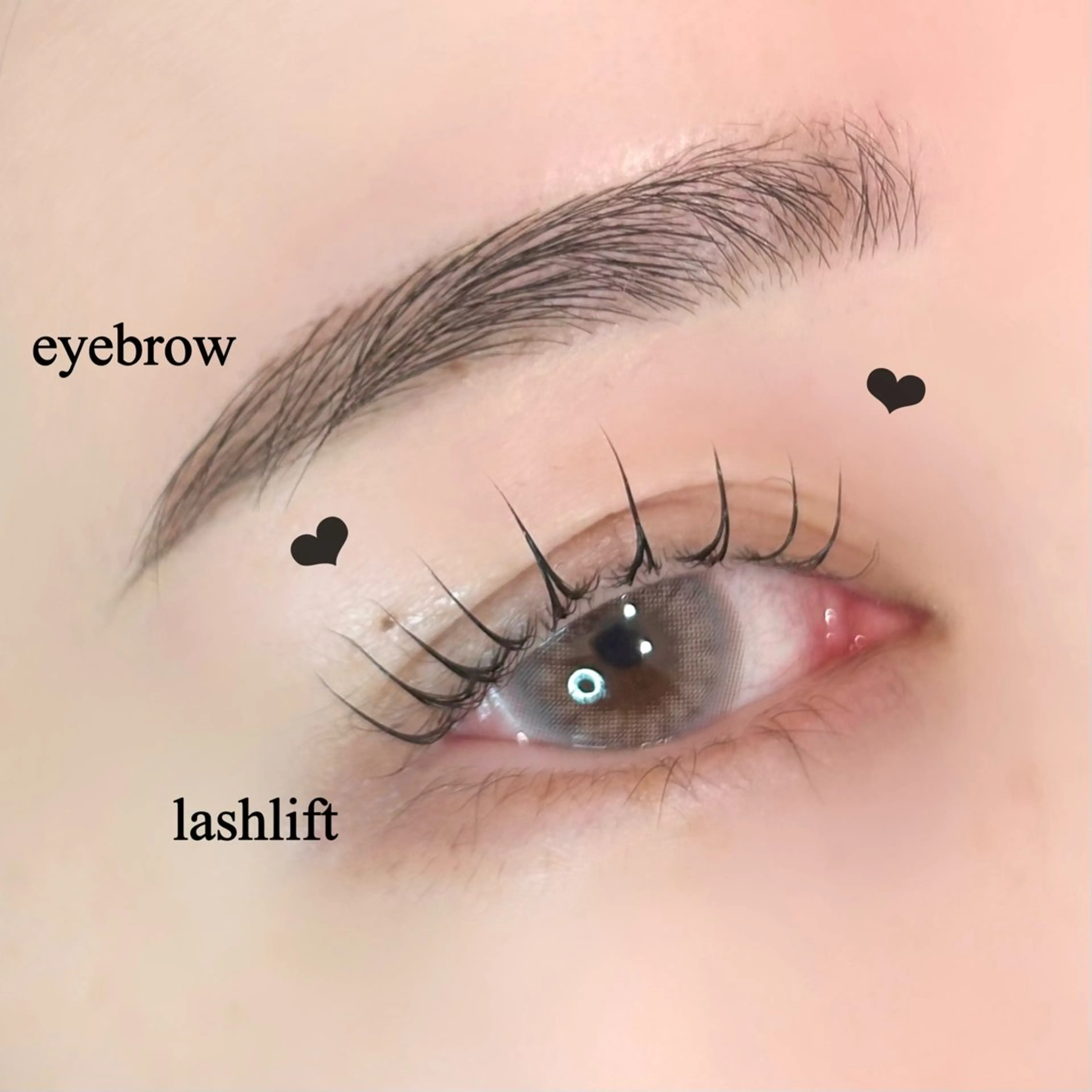 マツエク・マツパ マツパ chiri／似合わせ ×韓ドルまつ毛パーマのマツエク・マツパデザイン