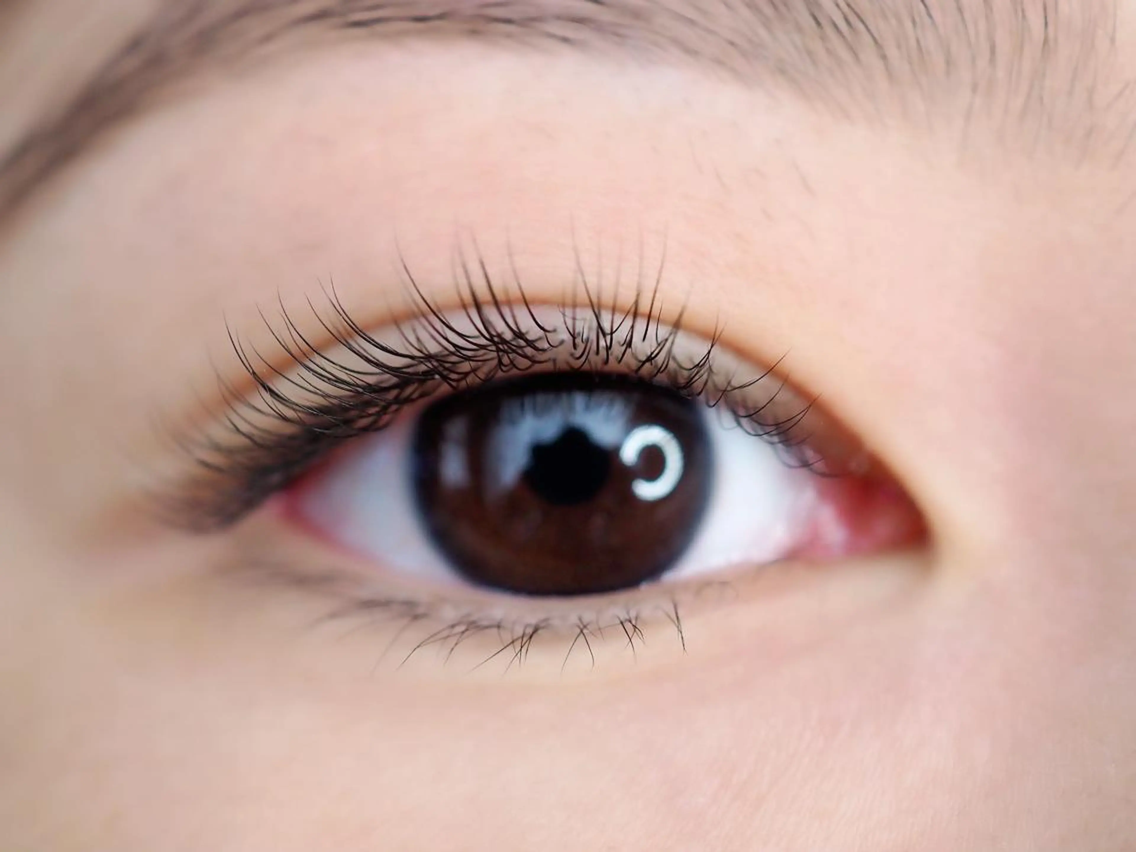 マツエク・マツパ マツパ Maile leaf 【マイレリーフ】のマツエク・マツパデザイン