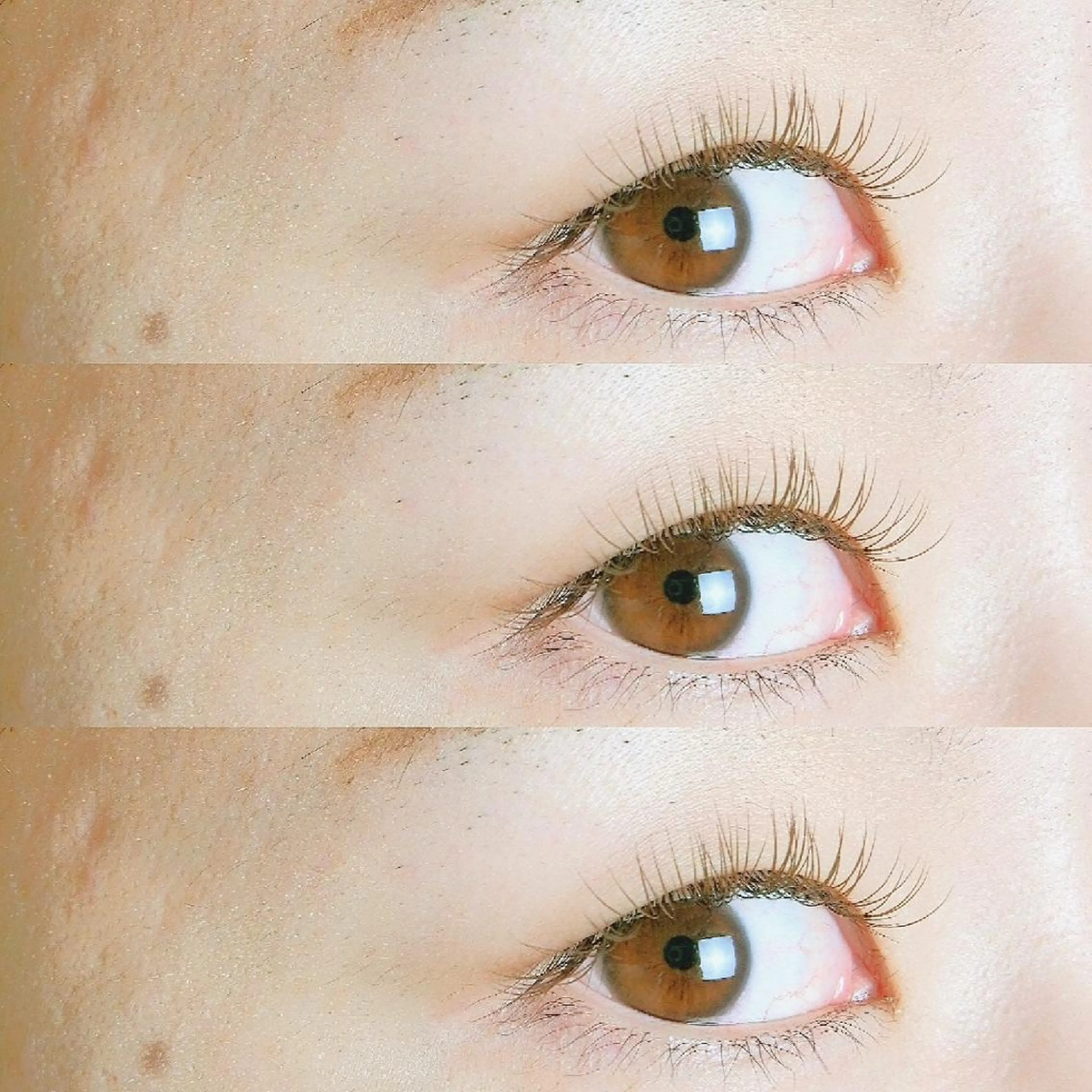 ブラウンカラー変更🌈(シングル/ボリューム)の写真