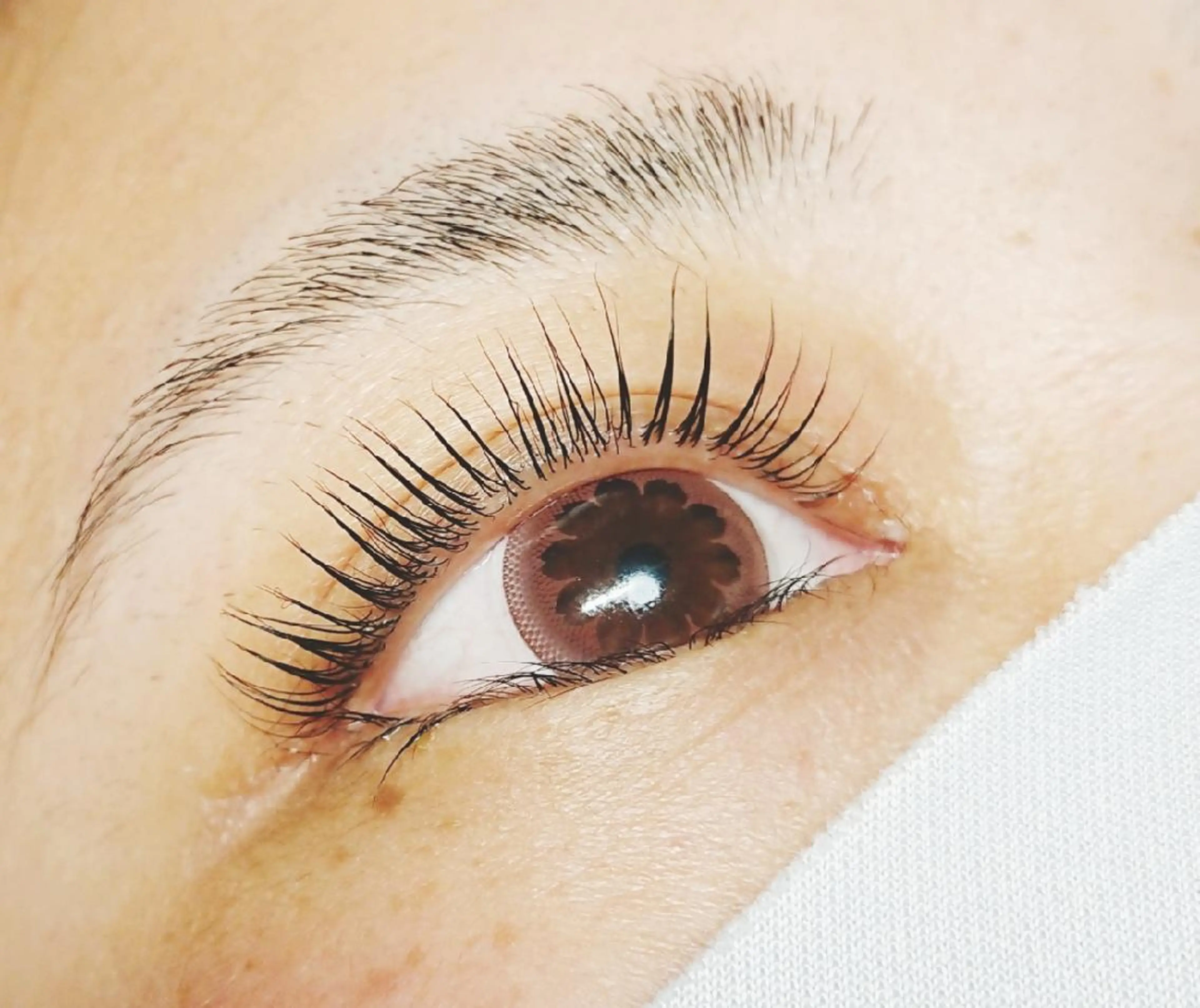 ラッシュリフト(次世代まつげパーマ)美容液仕上げ〈新規〉当店のご利用初めての方のみとなります。の写真