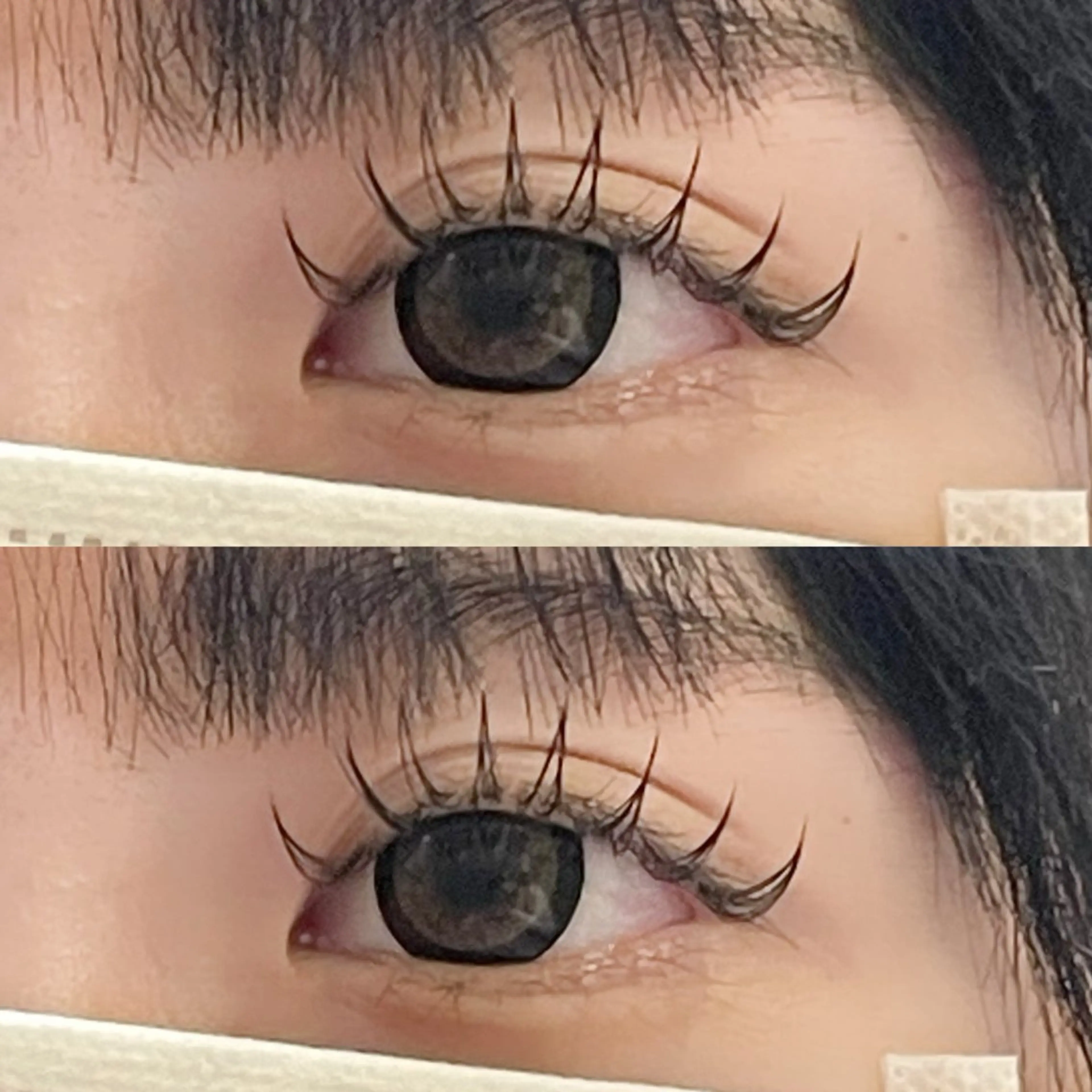 フラットラッシュ🐰🍓​〜​100本【オフ無料】【初回​〜​3回目まで】の写真