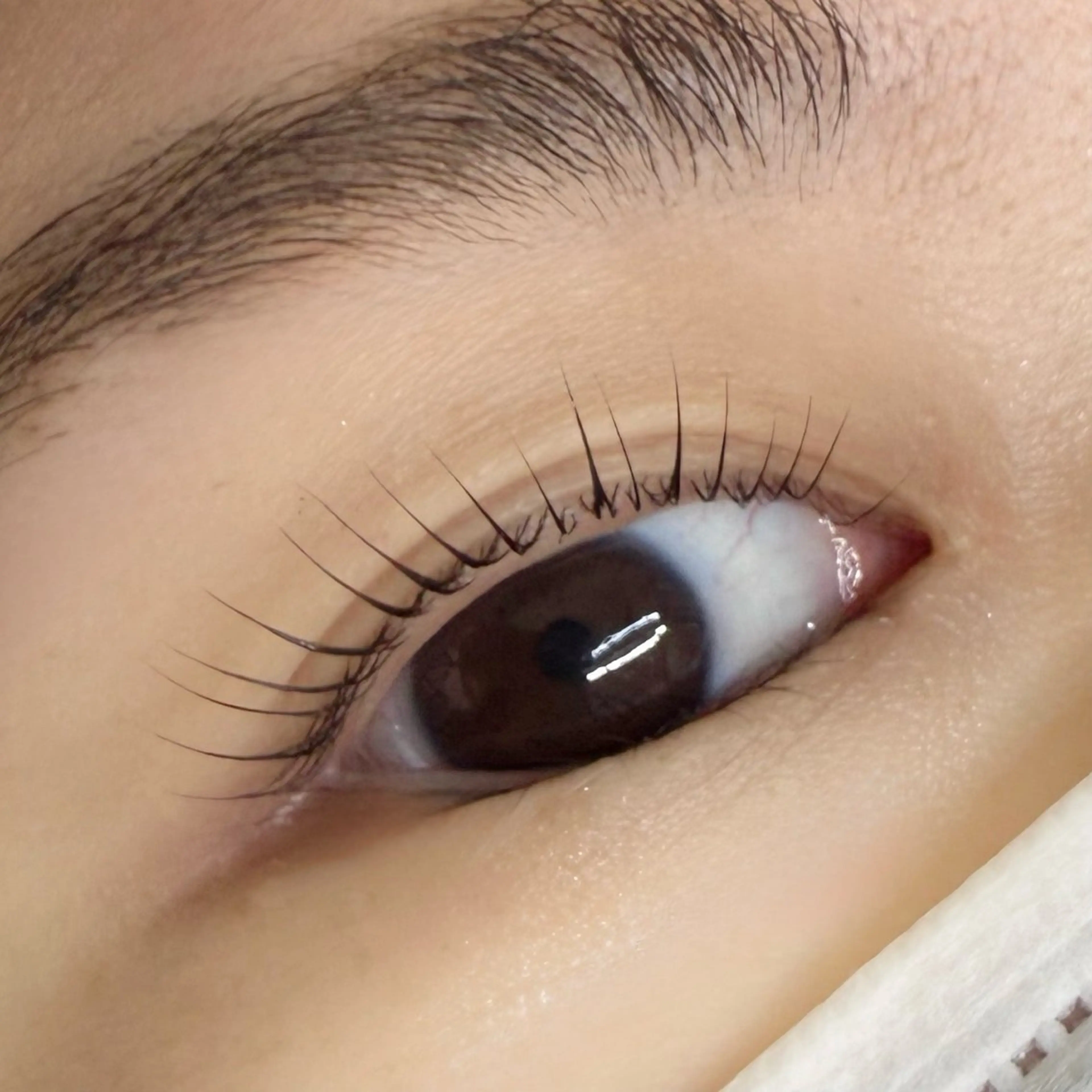 マツエク・マツパ Laka. lash&browの眉毛・アイブロウイメージ