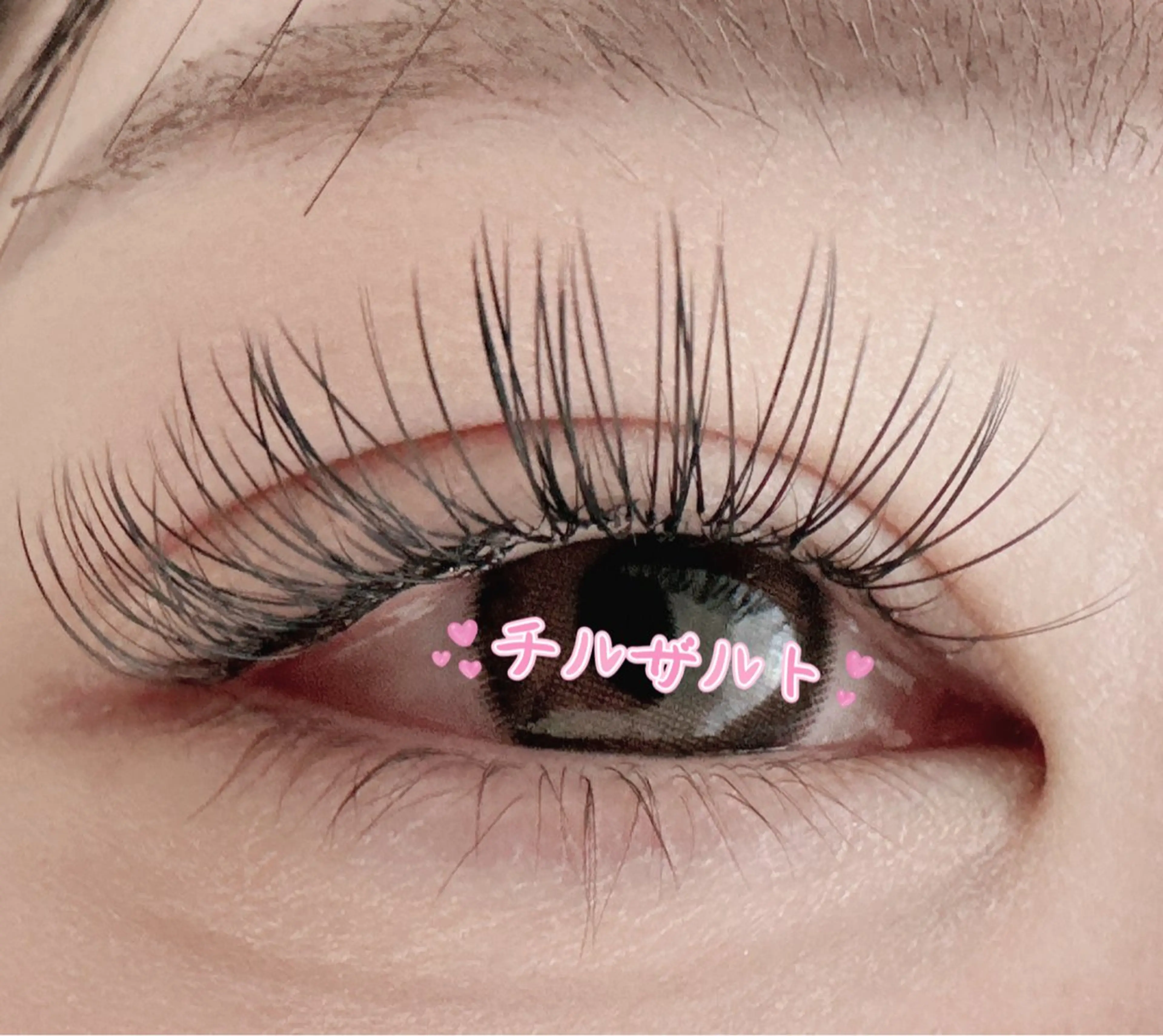 🧚🏻‍♀️新登場Lカール 🧚🏻‍♀️Lカールフラットラッシュ100本+キープ美容液の写真