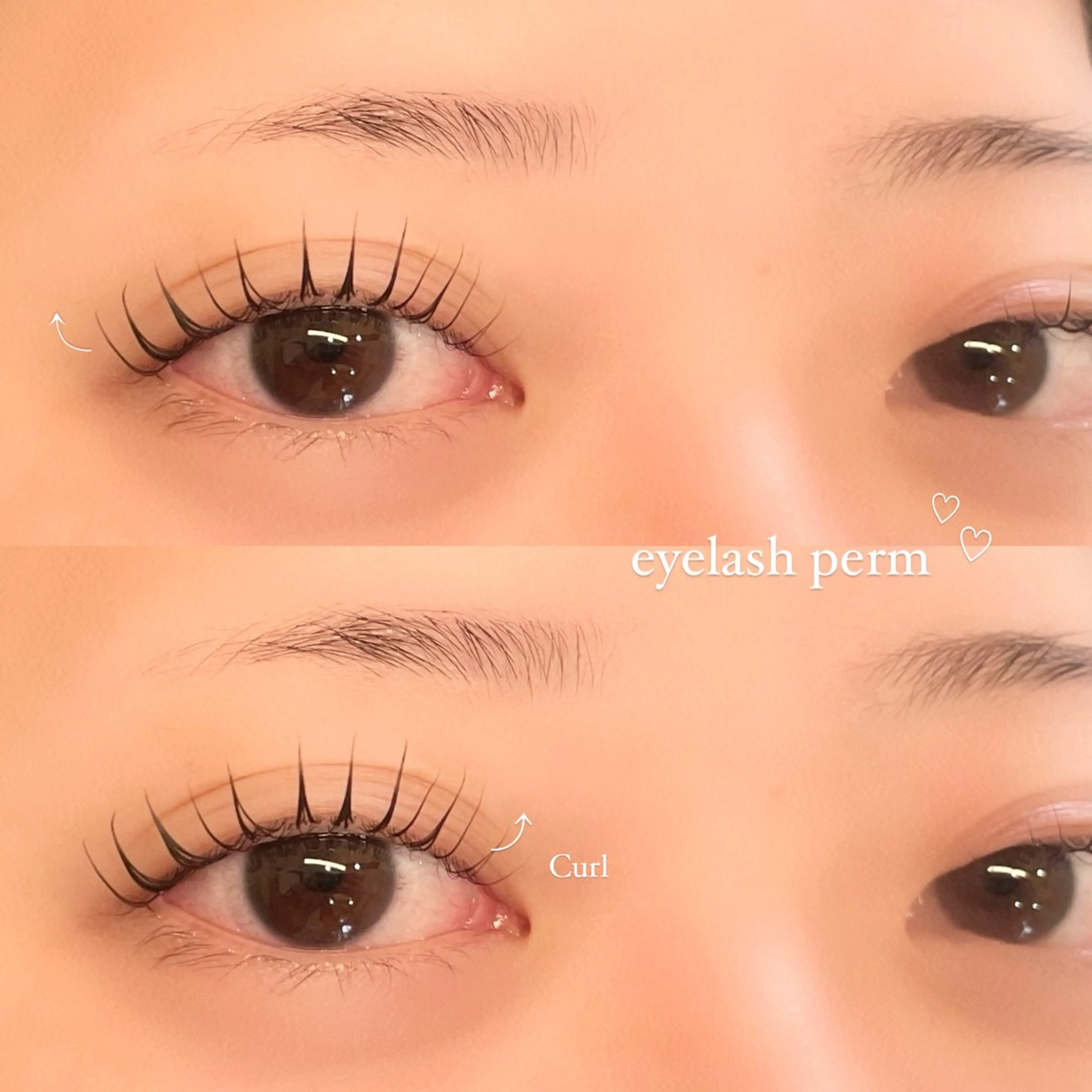 【選べるカール感】似合わせまつ毛パーマ(コーティング付き)の写真