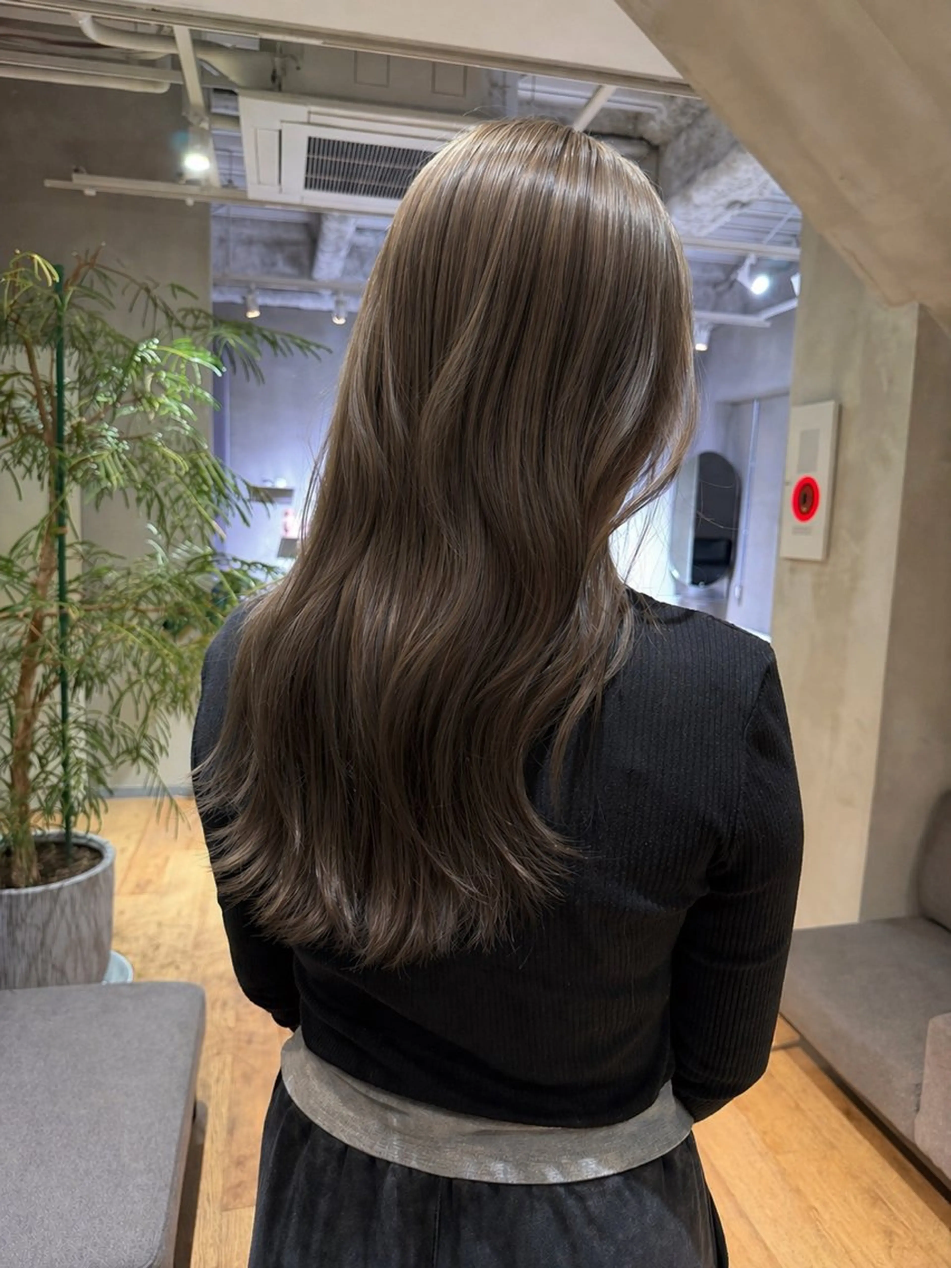 カラー 透明感カラー グレージュ ヘアカラー mei🪽 カラーモデルのヘアスタイル