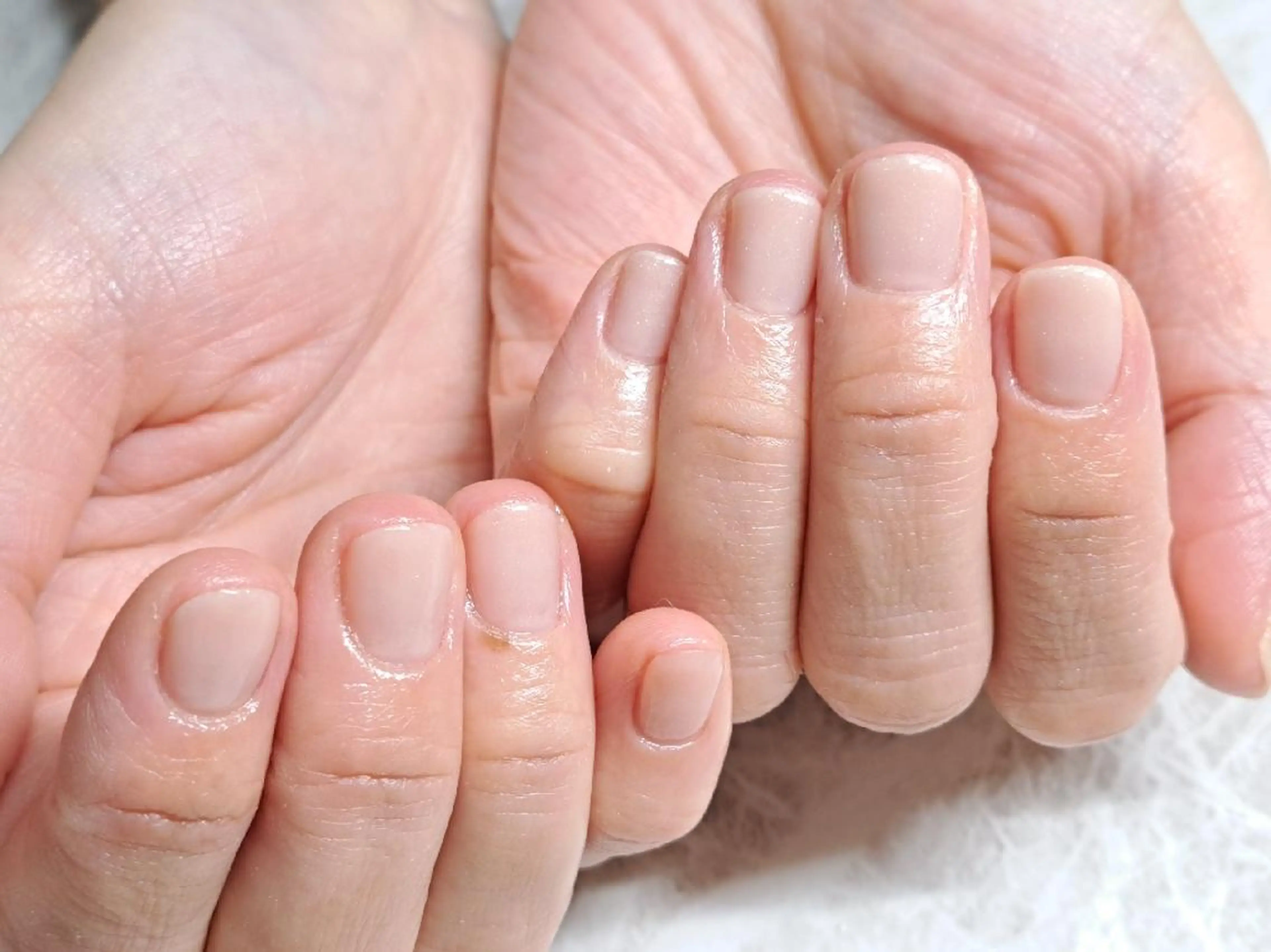 ネイル オフィスネイル Lupinus所属・Lupinus ルピナスのネイルデザイン