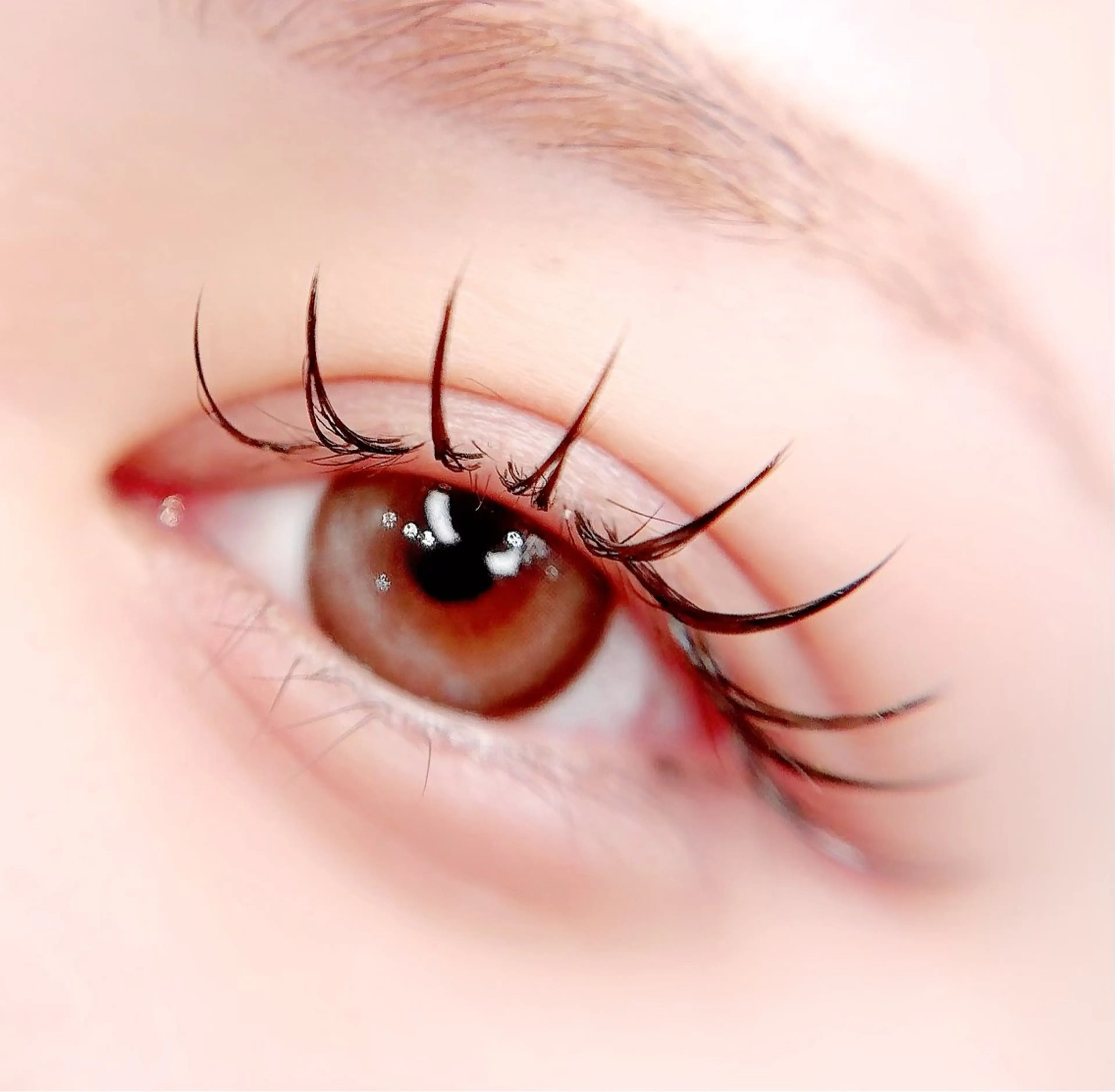 マツエク・マツパ Maile leaf 【マイレリーフ】のマツエク・マツパデザイン