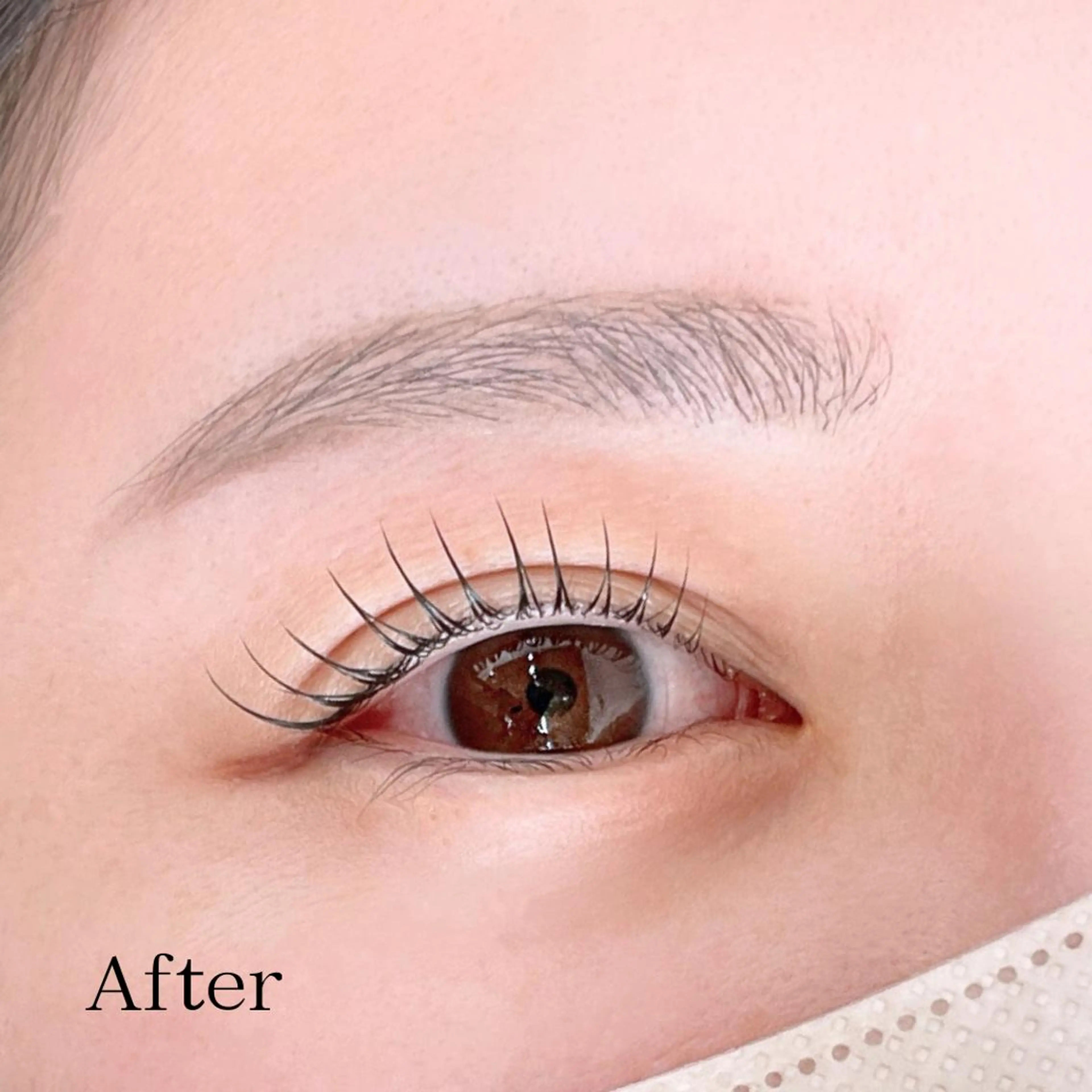 マツエク・マツパ 一重×まつ毛パーマ 骨格似合わせ眉WAX 眉まつ毛専門/石井の眉毛・アイブロウイメージ