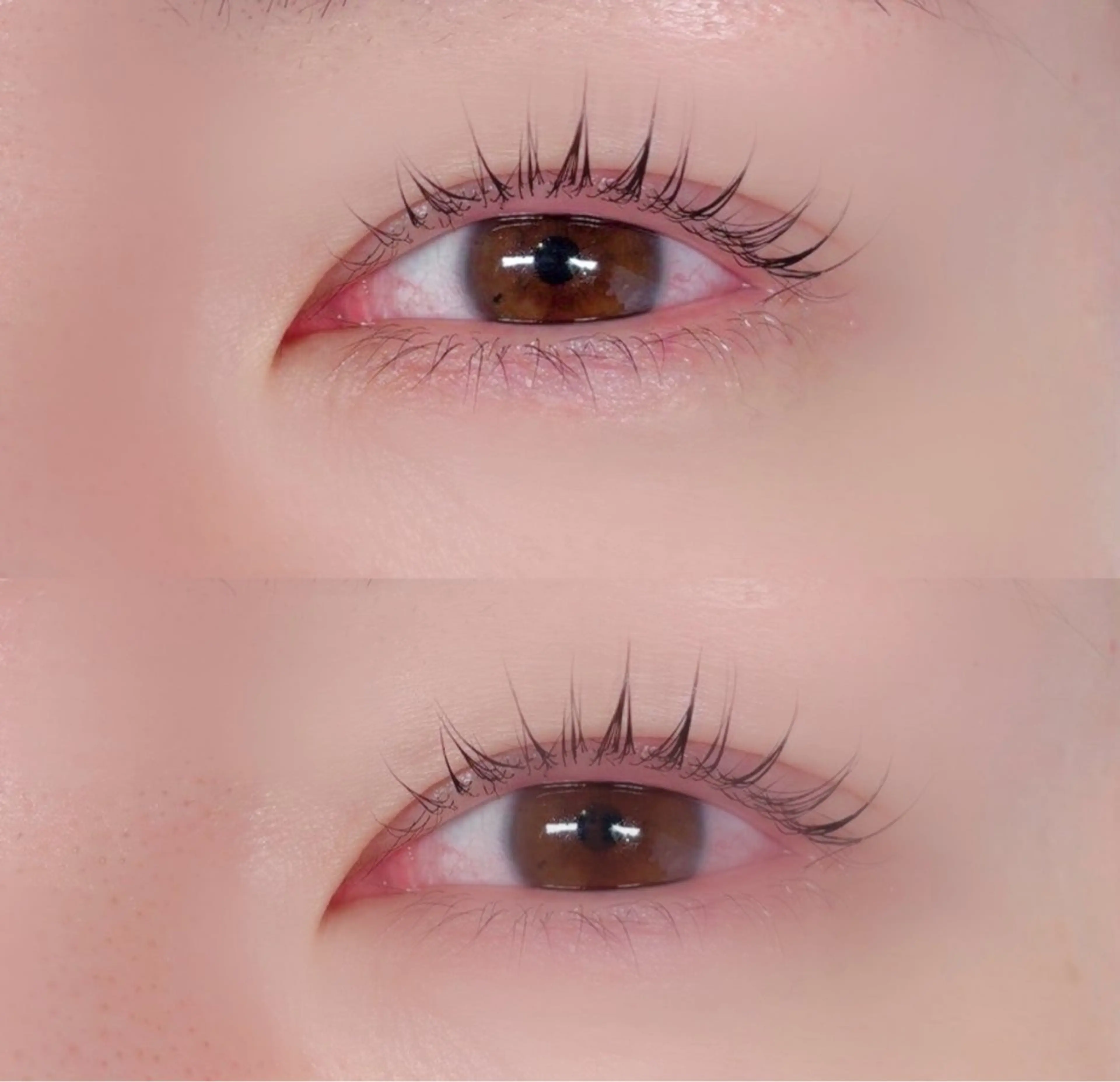 マツエク・マツパ マツパ Maria pinklagoonのマツエク・マツパデザイン