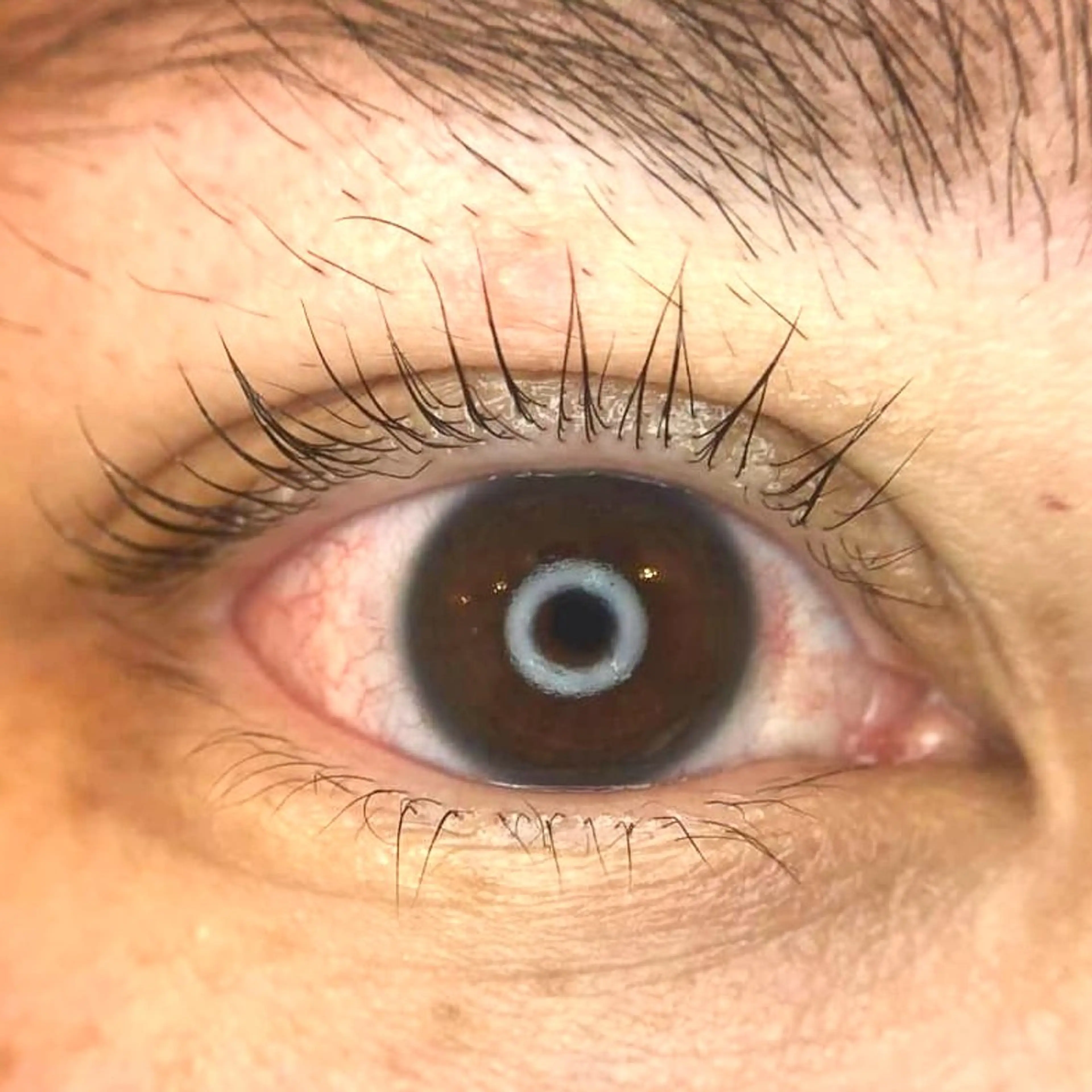 マツエク・マツパ パリジェンヌラッシュリフト 一重×まつ毛パーマ メゾンドシャルム NISHIKAWAのマツエク・マツパデザイン