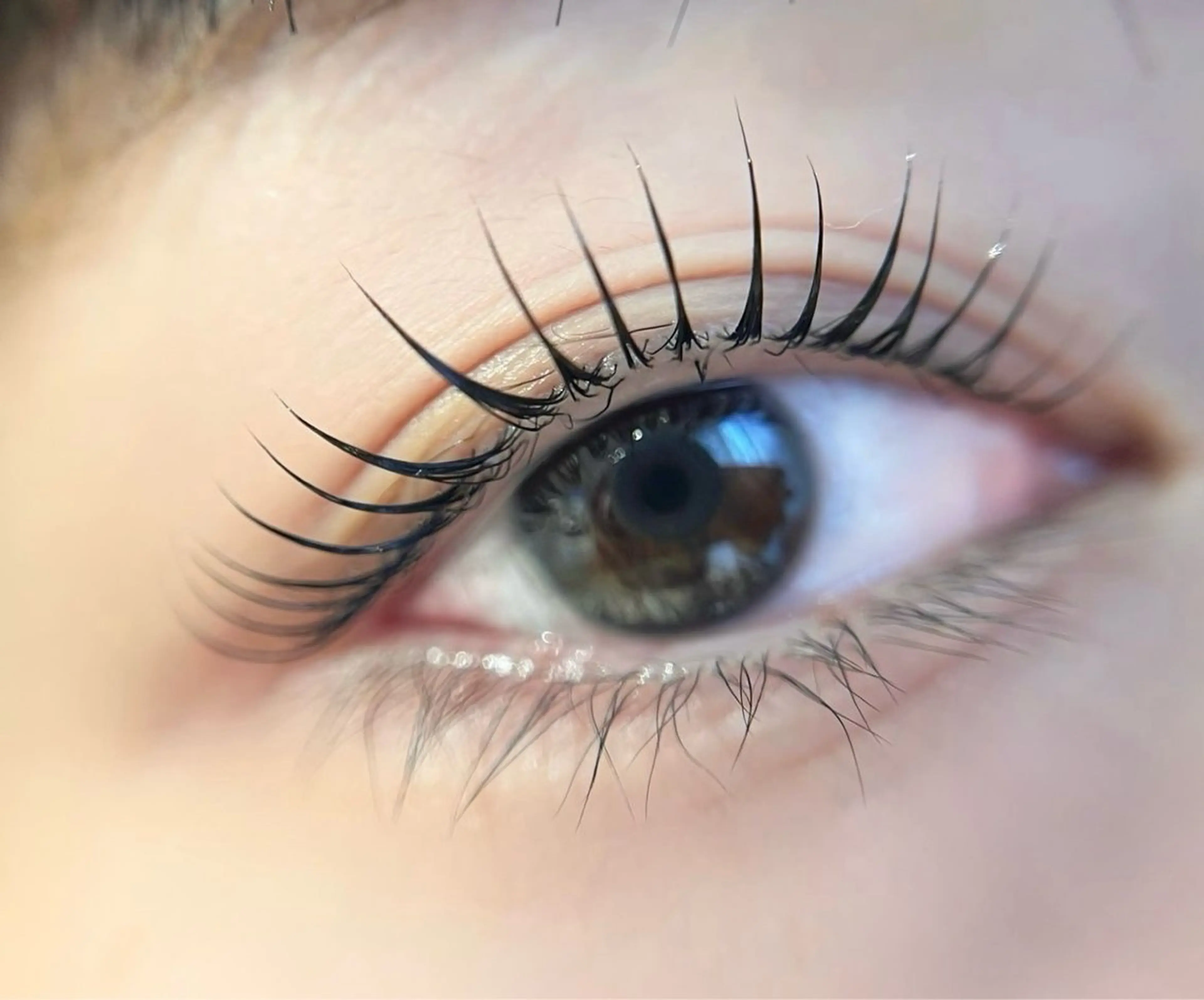 マツエク・マツパ パリジェンヌラッシュリフト まつげパーマ 🧸 Emiri🫧のマツエク・マツパデザイン