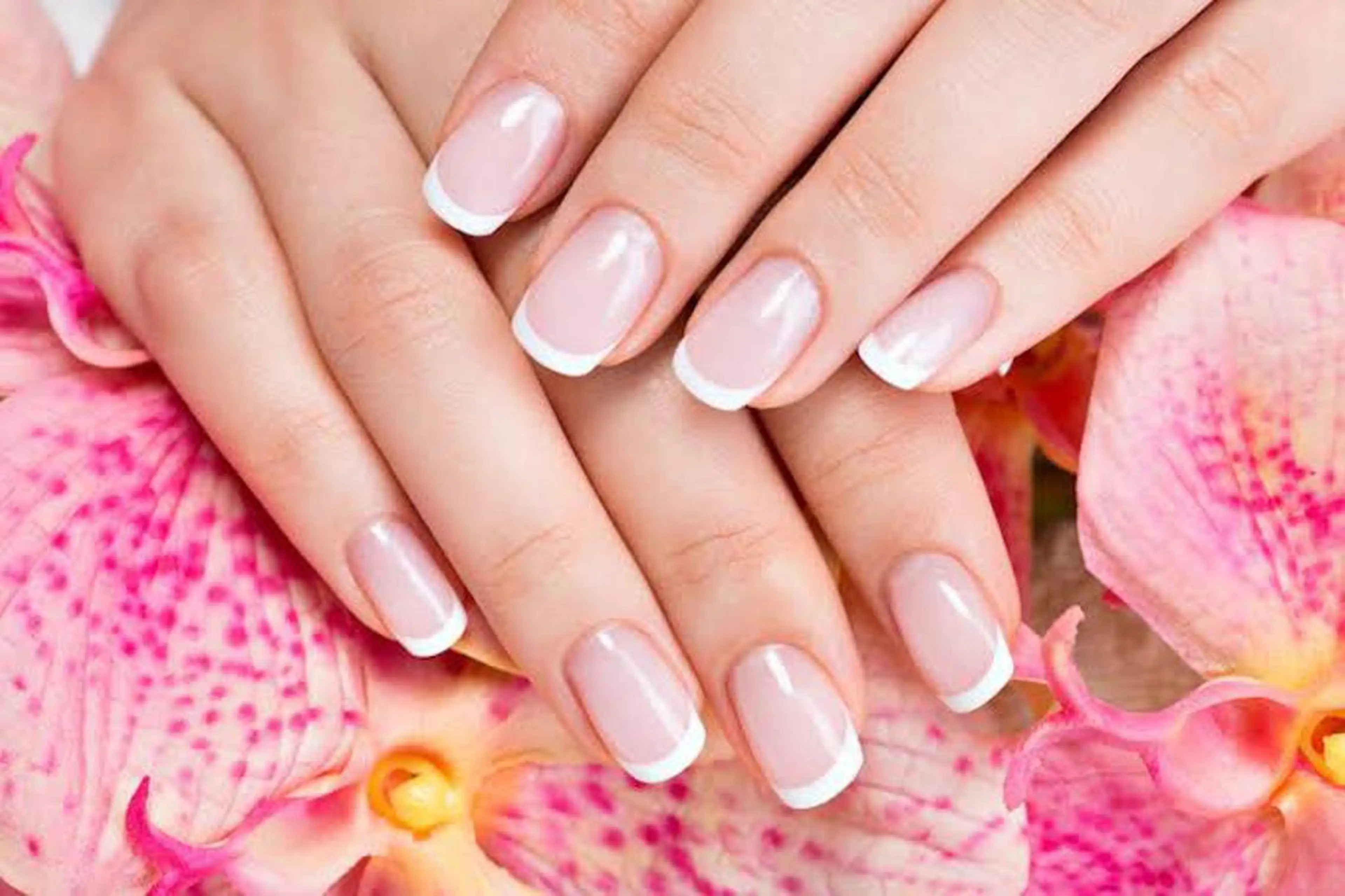ネイル フレンチネイル LILY  NAIL所属・LILY NAILのネイルデザイン