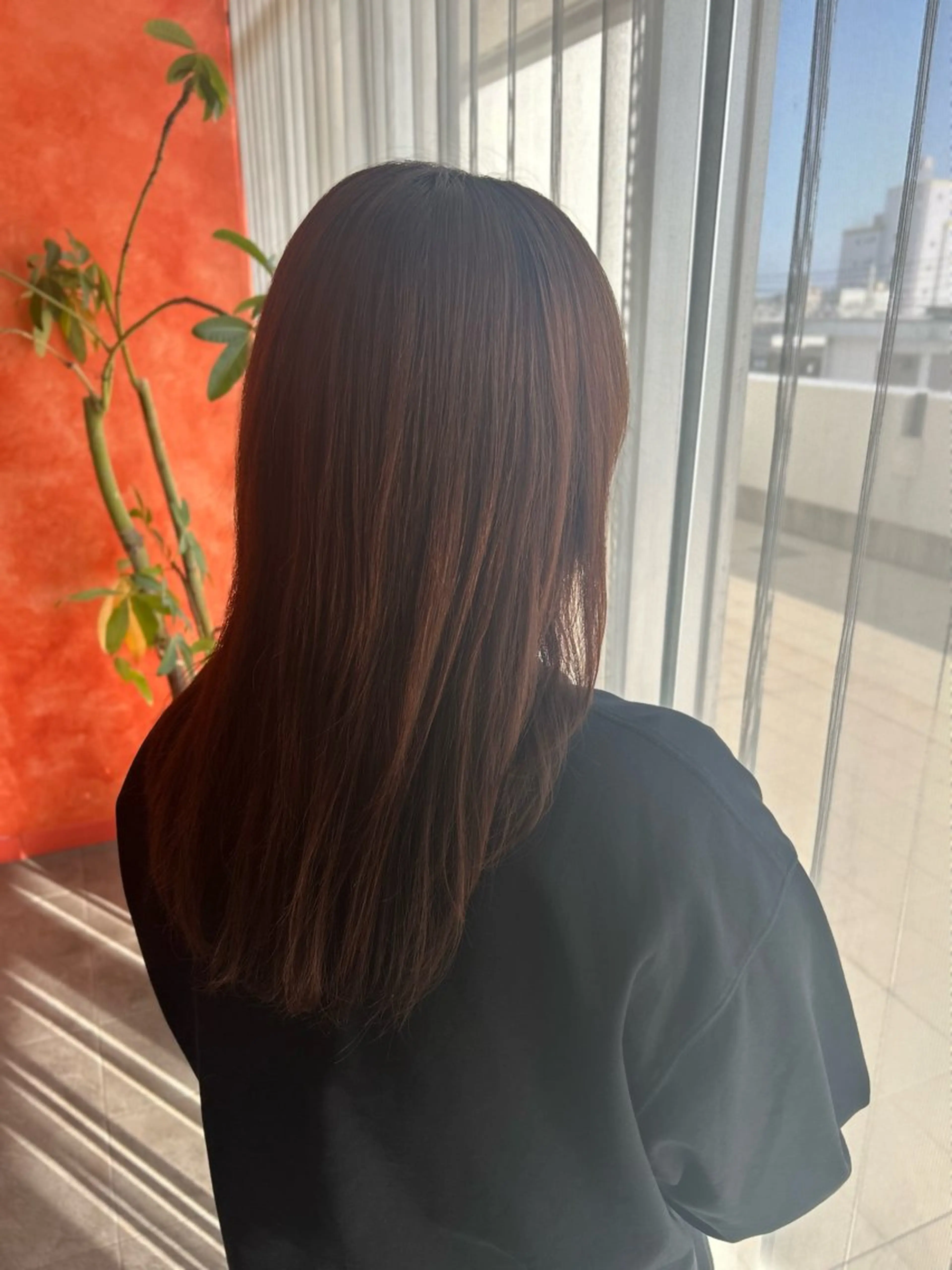 レイヤーカット+カラー(ブリーチ無し)の写真