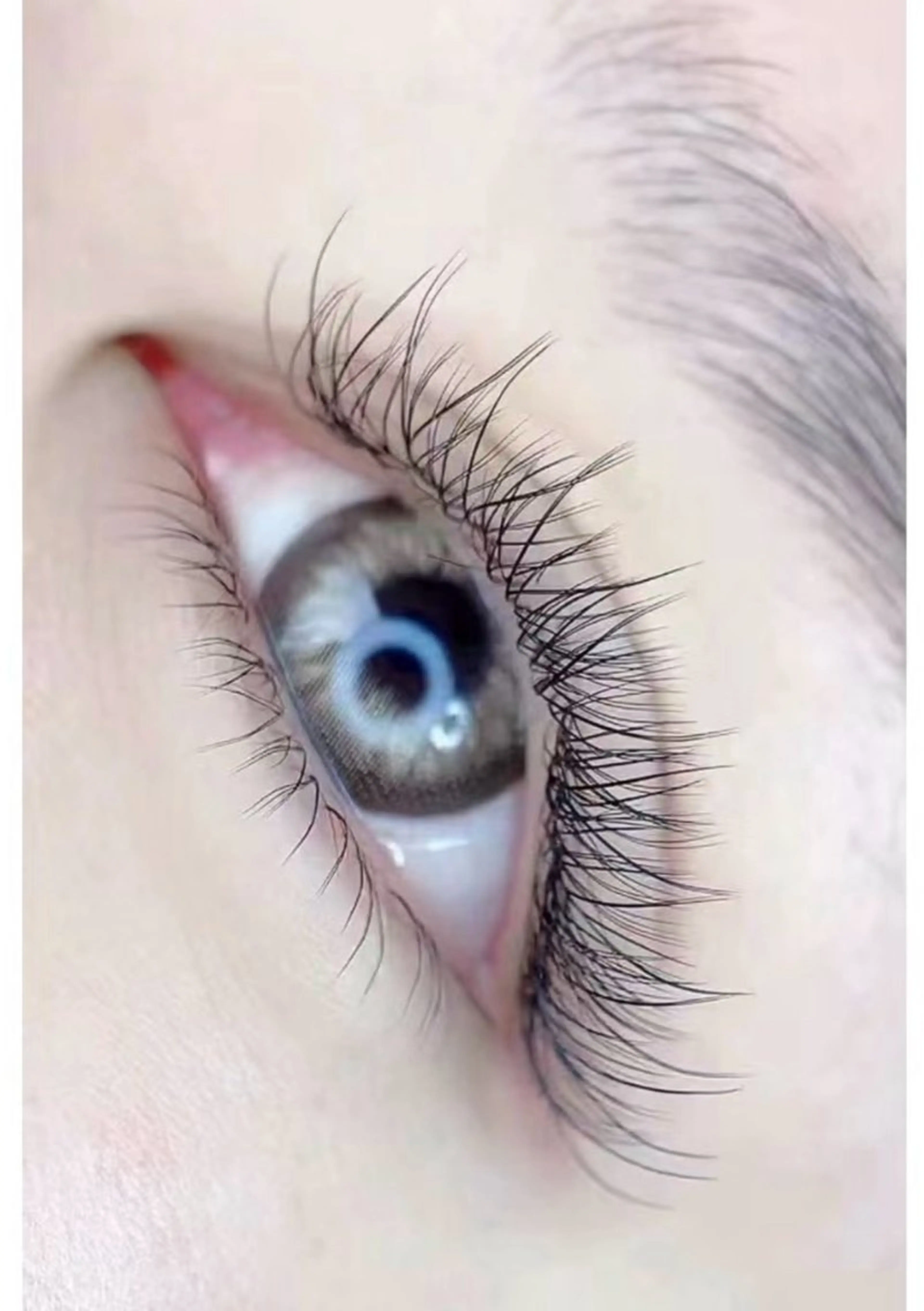 マツエク・マツパ Kllマツエク& まつげパーマ池袋店のマツエク・マツパデザイン