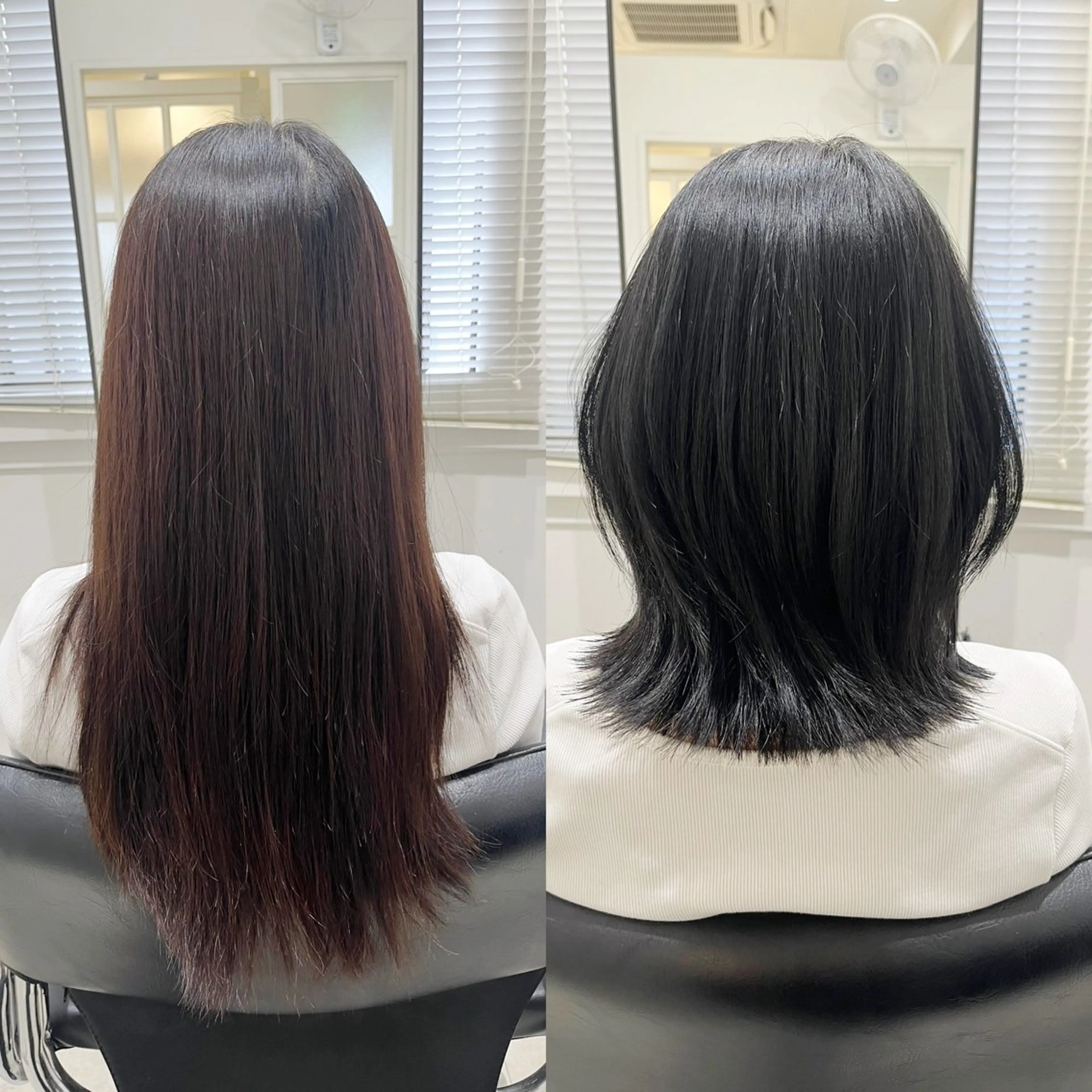 ミディアム カット ヘアカラー トリートメント 全席個室美容室 縮毛矯正/レイヤーのヘアスタイル