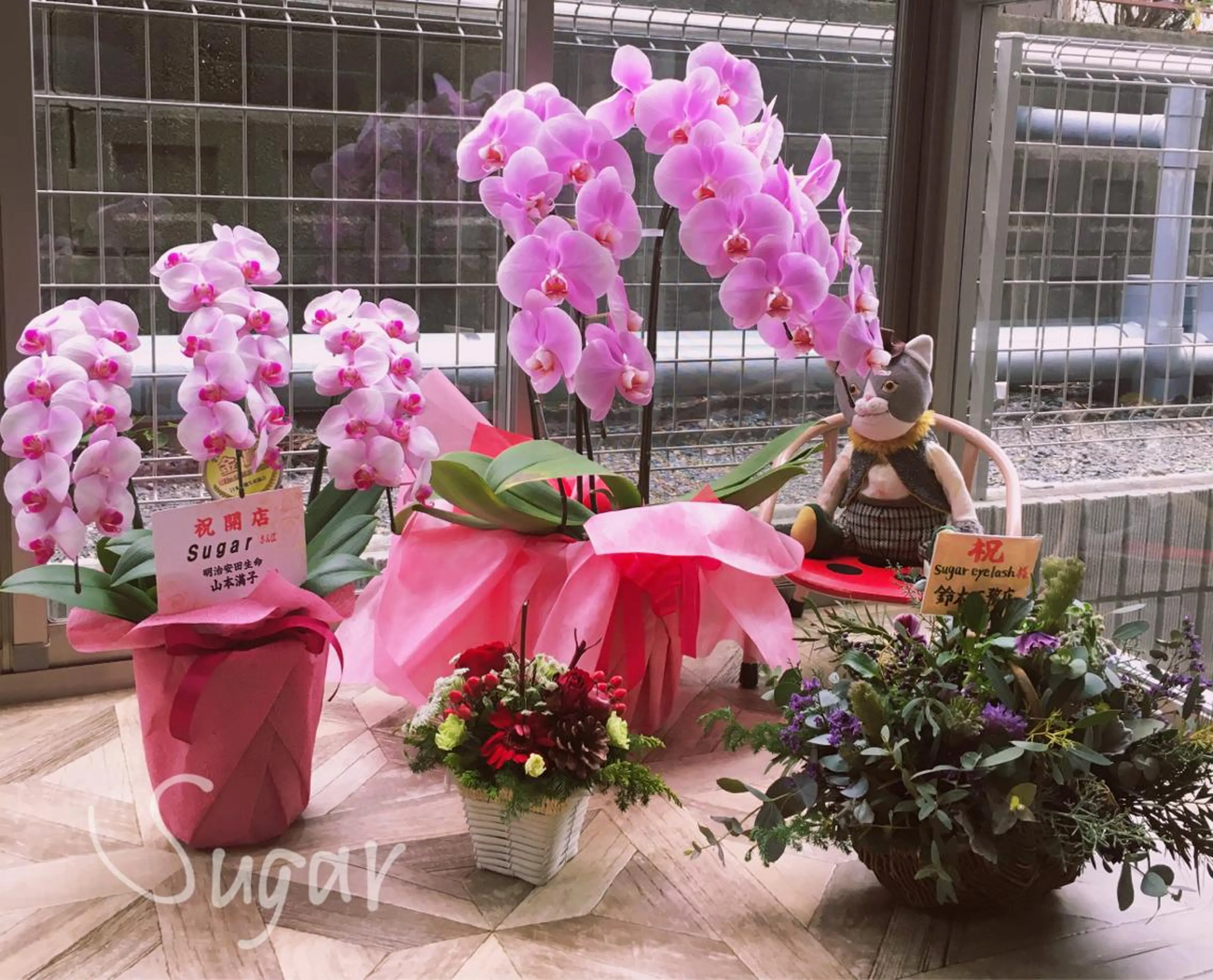 Sugar シュガーのマツエク・マツパデザイン