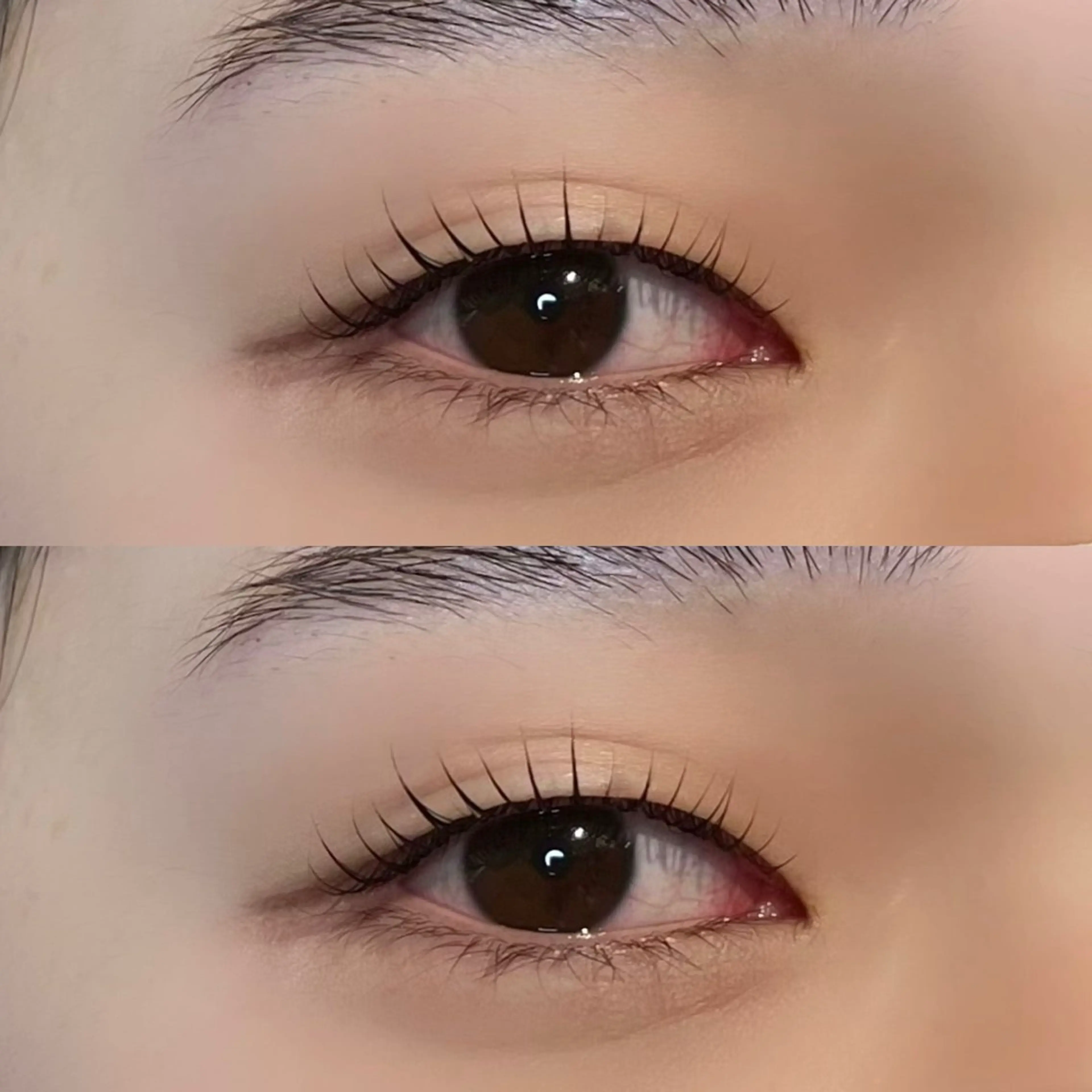 マツエク・マツパ 𝒆𝒊𝒈𝒉𝒕 杏花のマツエク・マツパデザイン