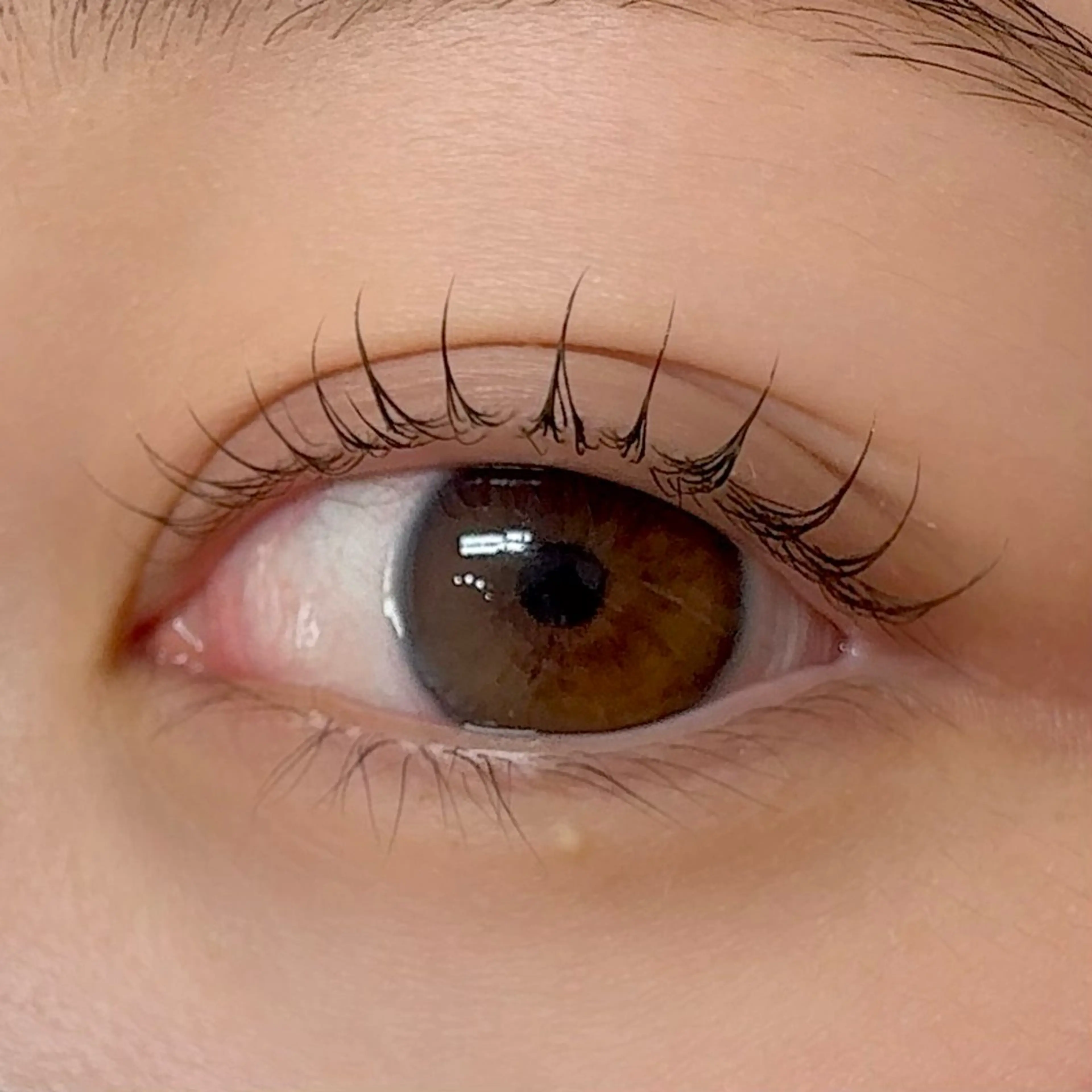 マツエク・マツパ Reline🌼まつ パ専門AN（アン）のマツエク・マツパデザイン