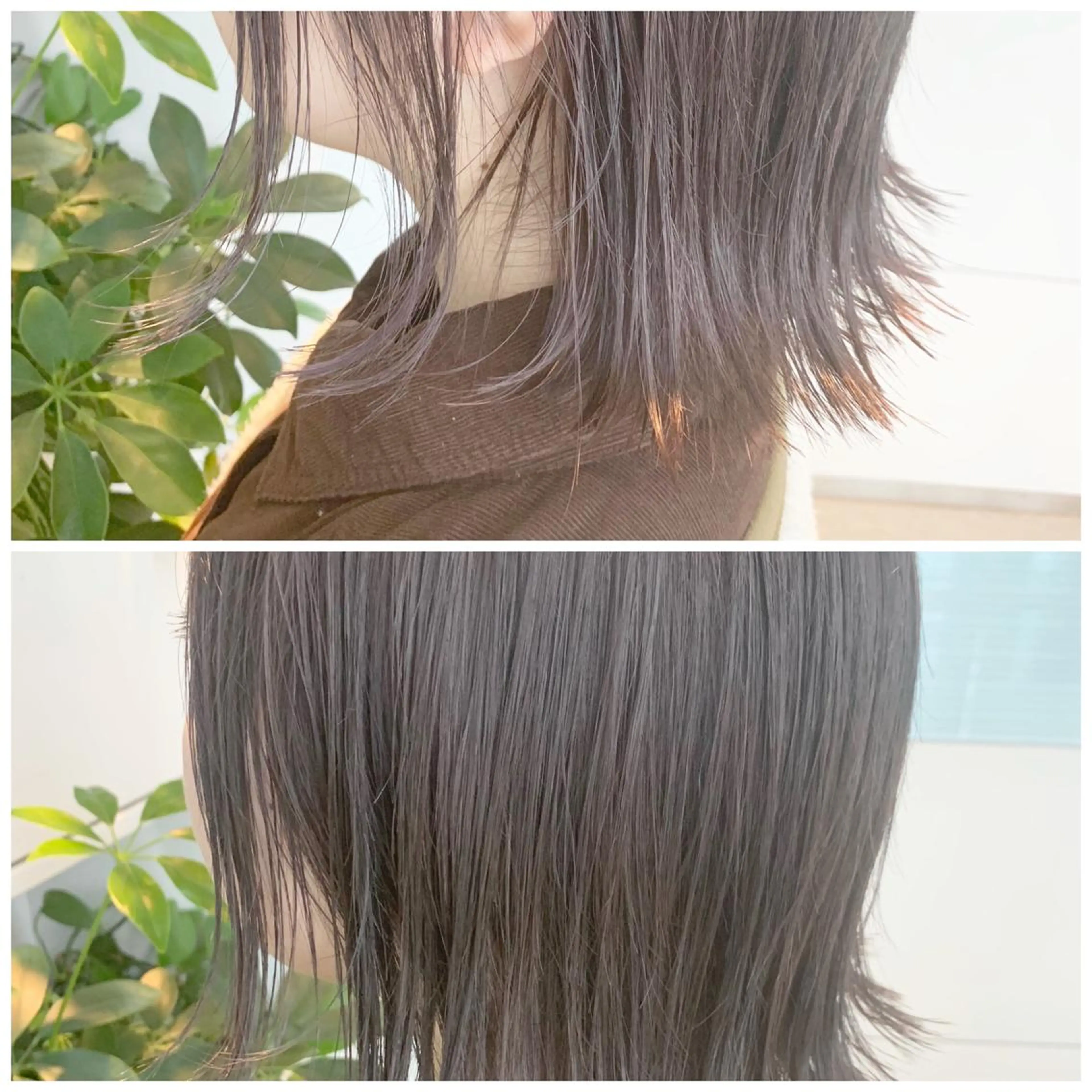 ミディアム カラー グレージュ ラベンダーカラー ラベンダーグレージュ ラベンダーグレー カット 縮毛矯正 トリートメント 東北No.1完全個室 💐梶谷社長のヘアスタイル