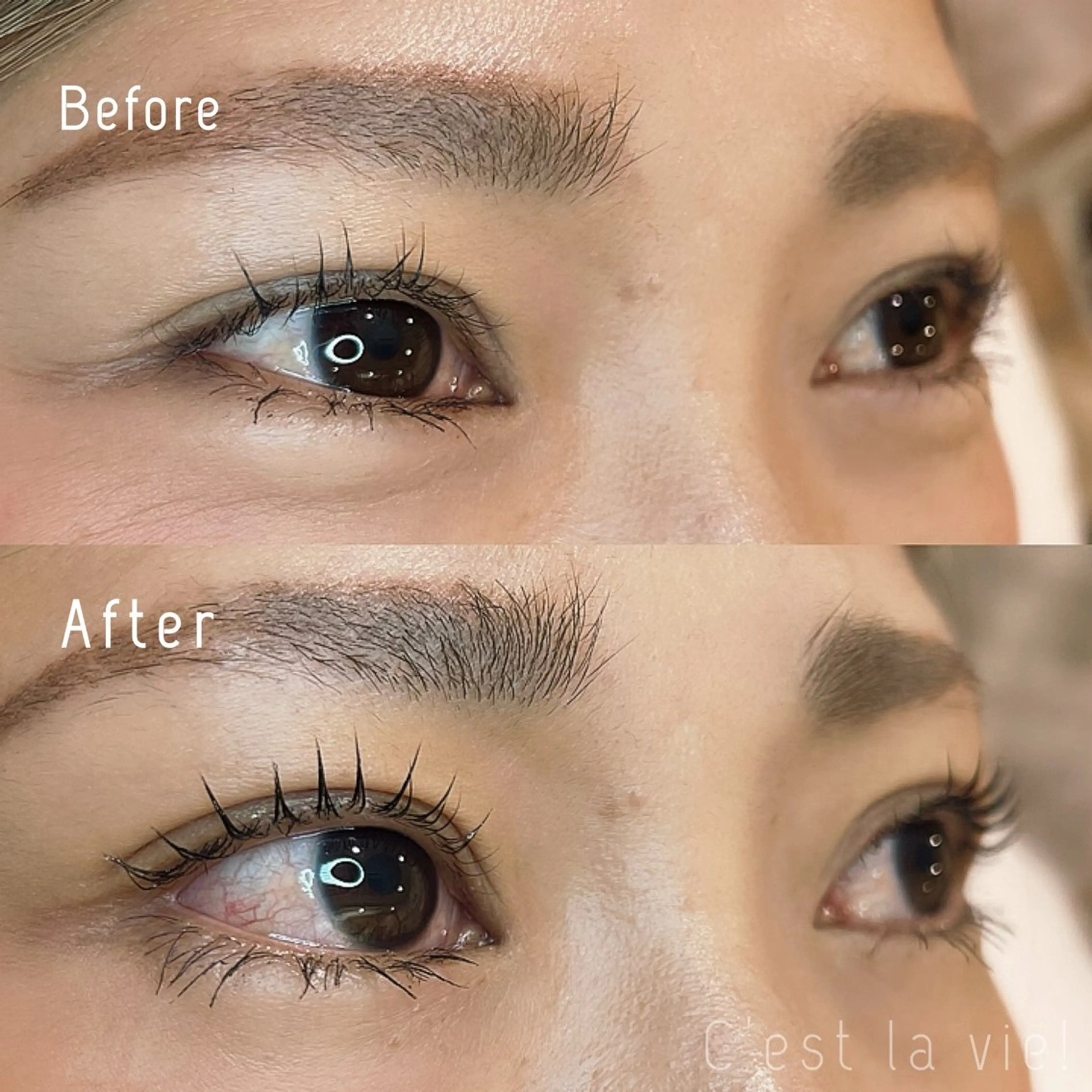 マツエク・マツパ Cestlavie! KOHTANIのマツエク・マツパデザイン