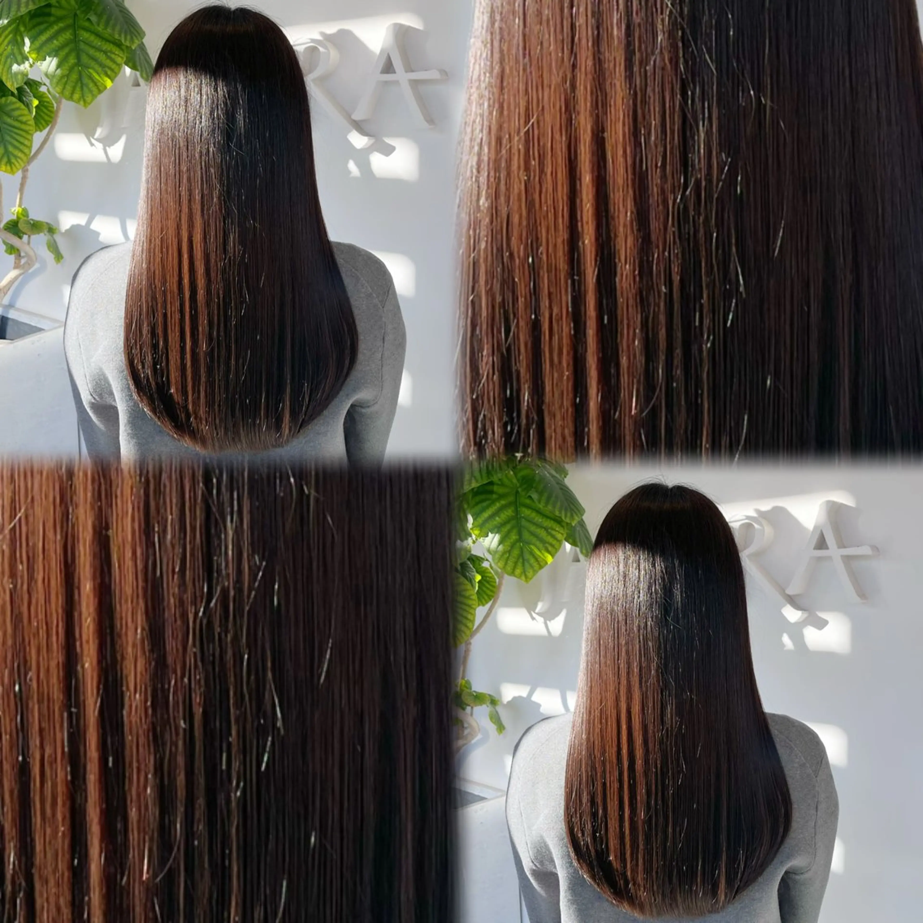 【新生活・初カラーに❣️】うるおい艶カラー🫧🎀➕カット✂️➕4step treatment🧴の写真