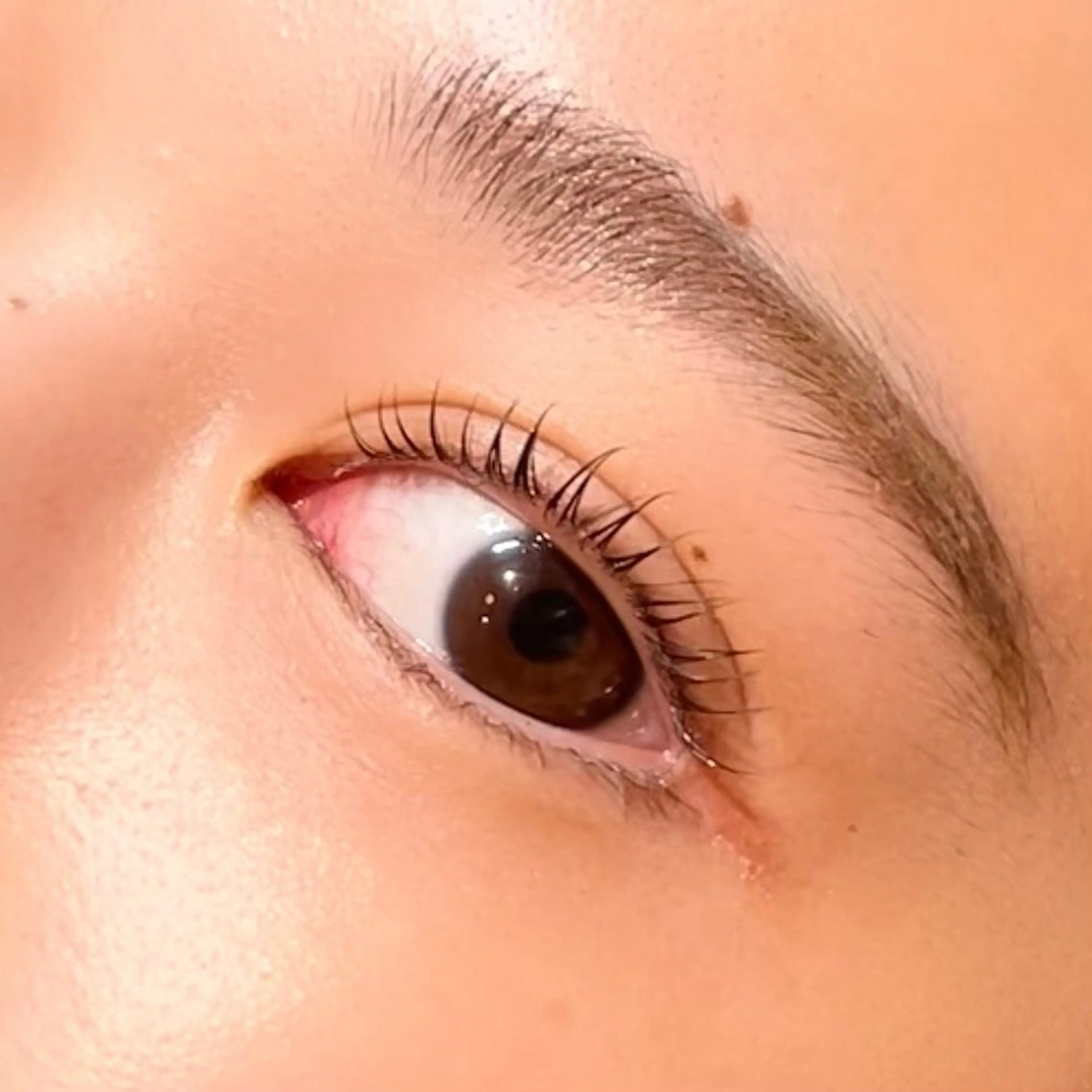 マツエク・マツパ Cカール 大人気梅田サロン🦋 Hatsumi💘のマツエク・マツパデザイン