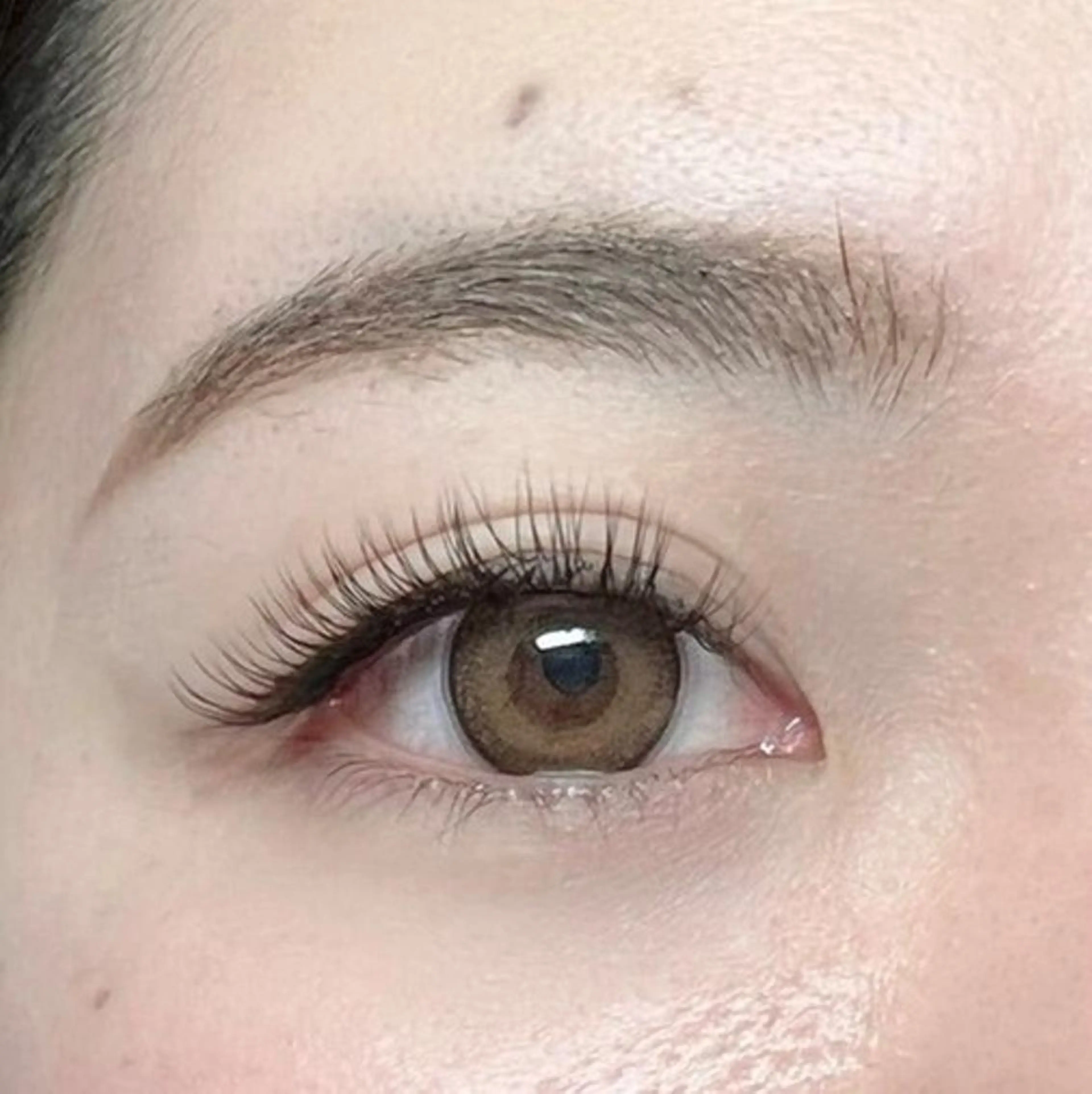 4/13限定★シングルエクステ120本★の写真