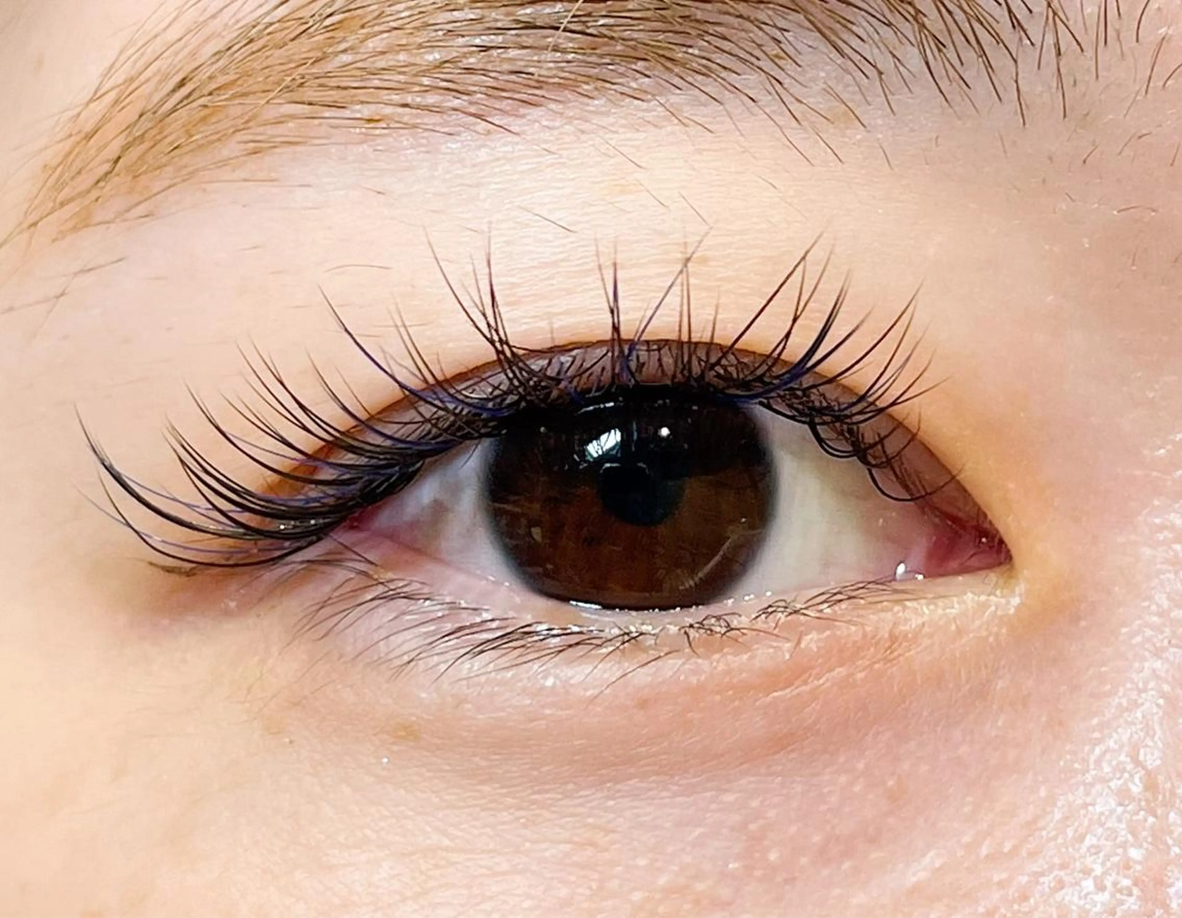 マツエク・マツパ Cカール マツエク Mei🌼 Epillのマツエク・マツパデザイン