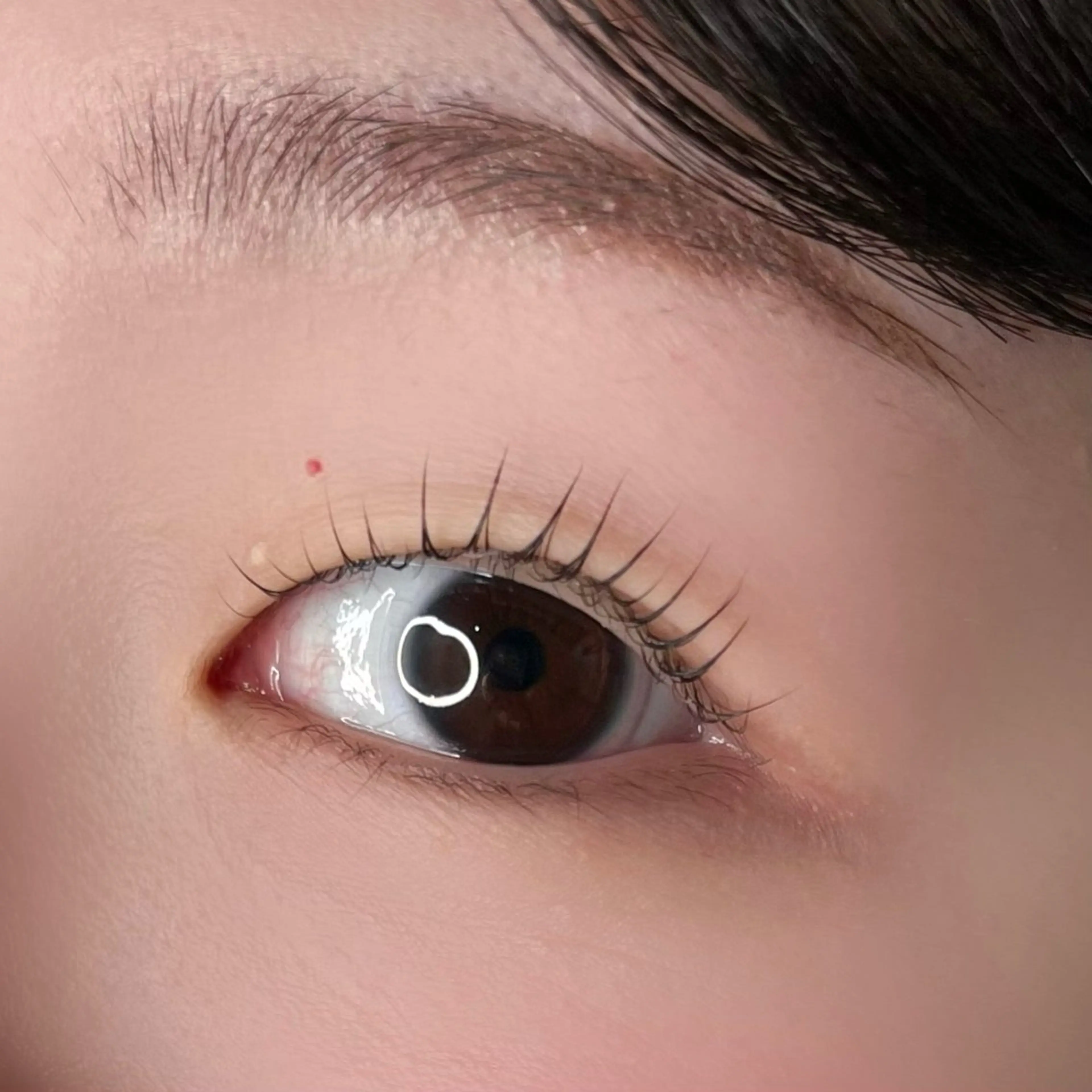 マツエク・マツパ まつげパーマ 🩵HARUHI 京都Two🩵の眉毛・アイブロウイメージ