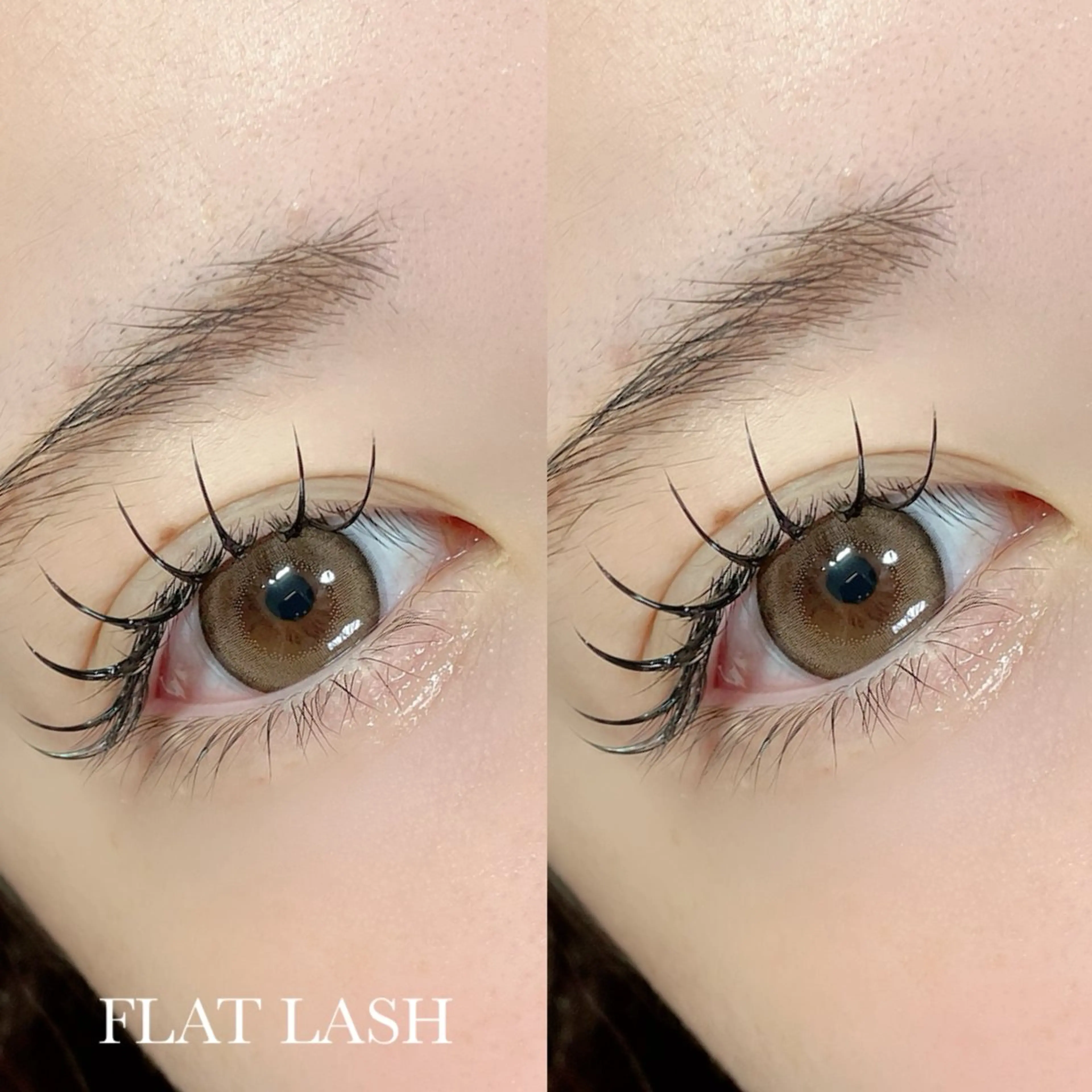 フラットラッシュ120本(オフ込み)¥4,900の写真