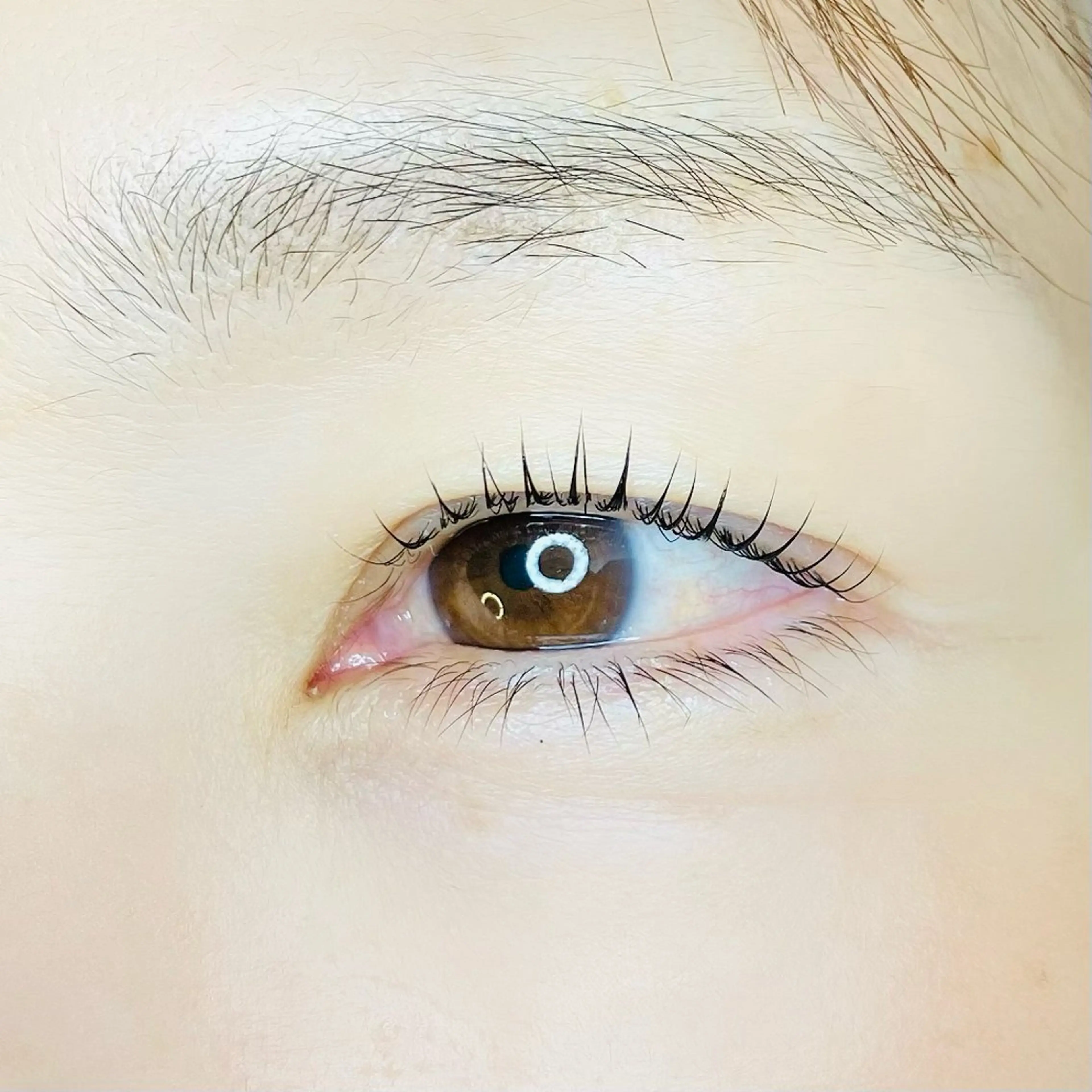 マツエク・マツパ private    salon moco所属・まつ毛&ワックス脱毛 tomoの眉毛・アイブロウイメージ