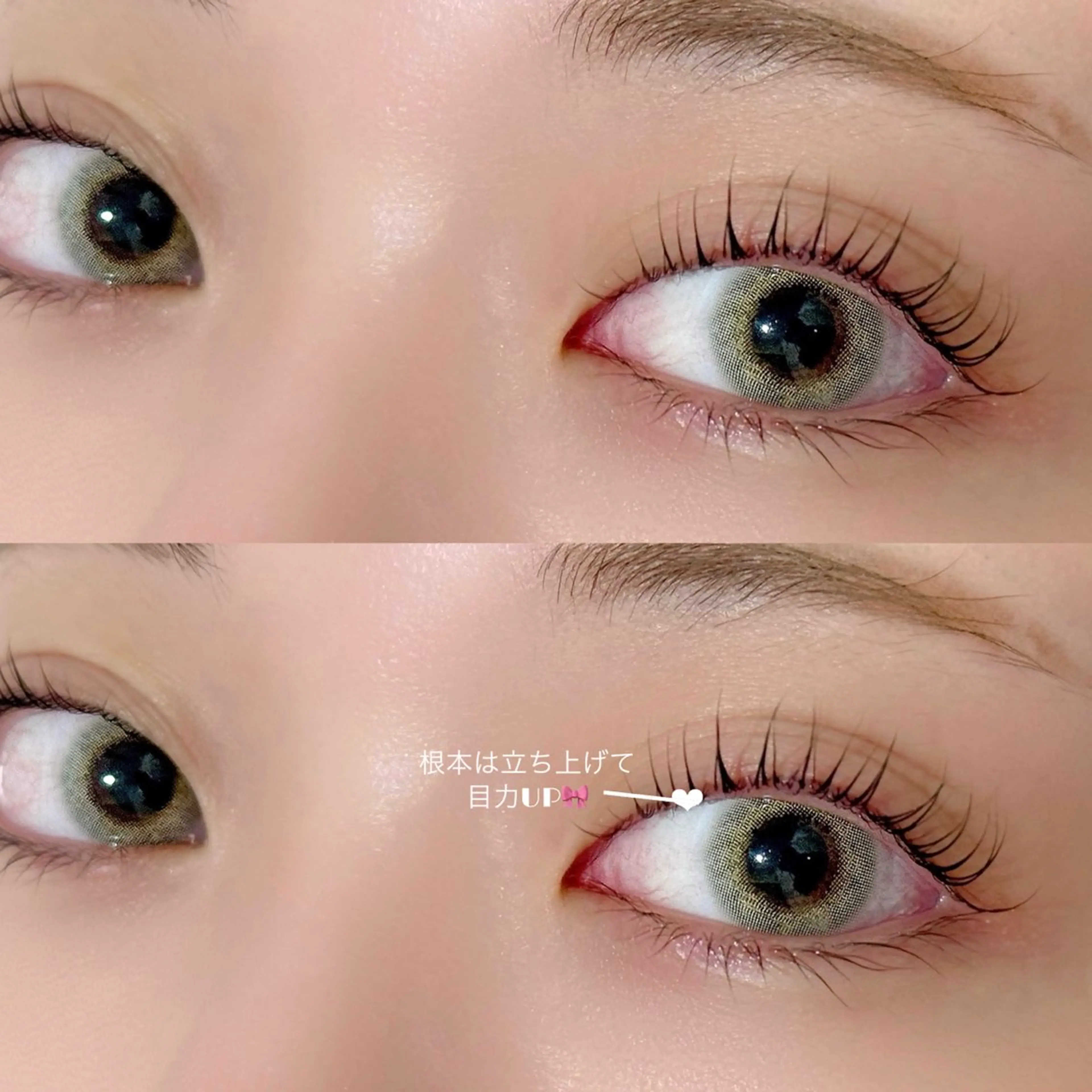 マツエク・マツパ MAKEA柏店🧸 honokaのマツエク・マツパデザイン