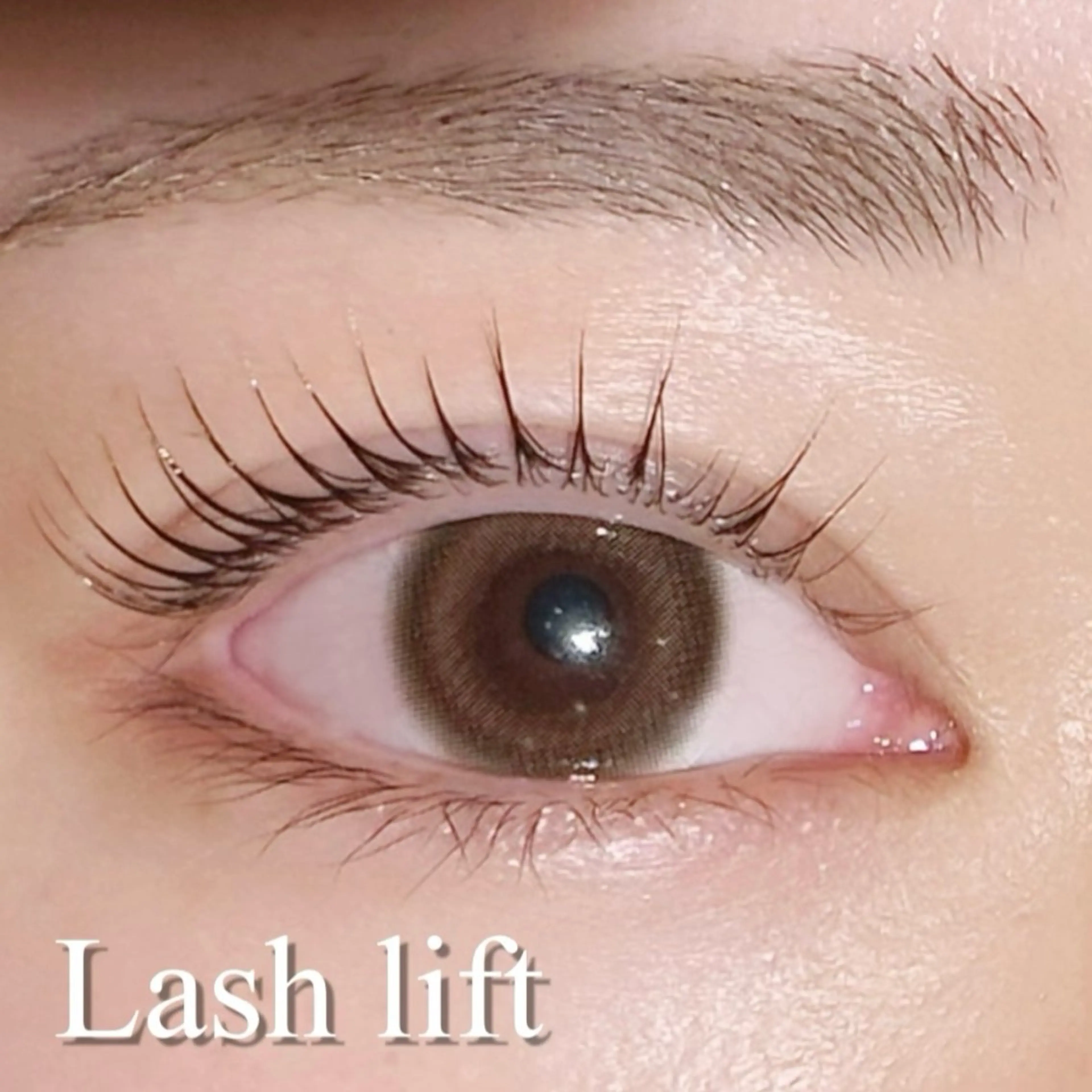 【期間限定‼️】まつ毛パーマorパリジェンヌ♪アイドル風束感コーティング付き✨の写真