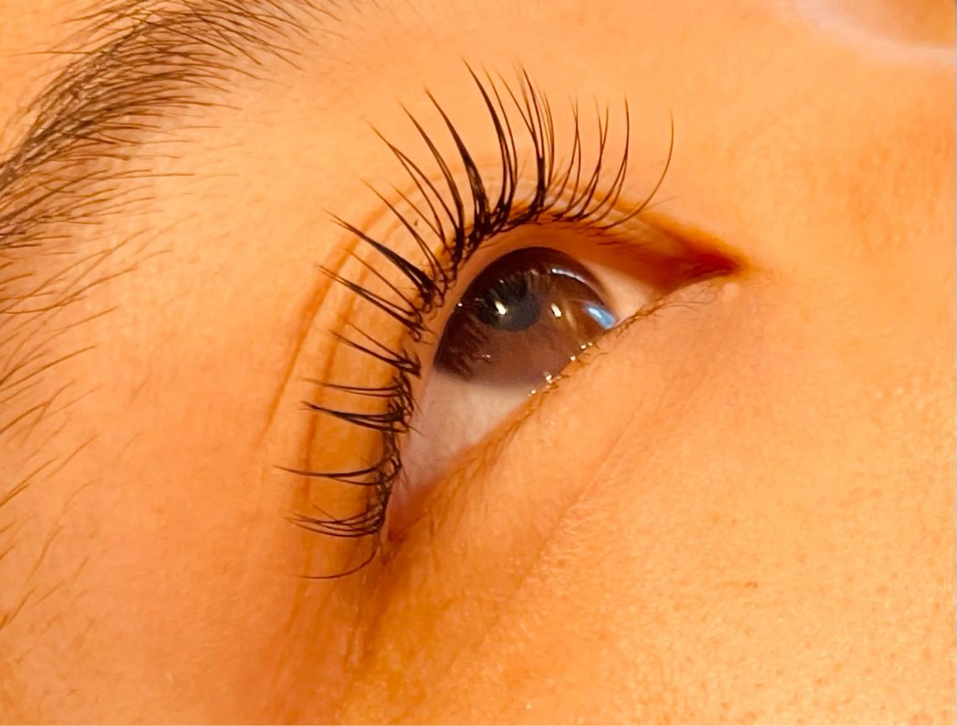 オフ無料🤍大人気フラットラッシュ100本🤍3980円の写真