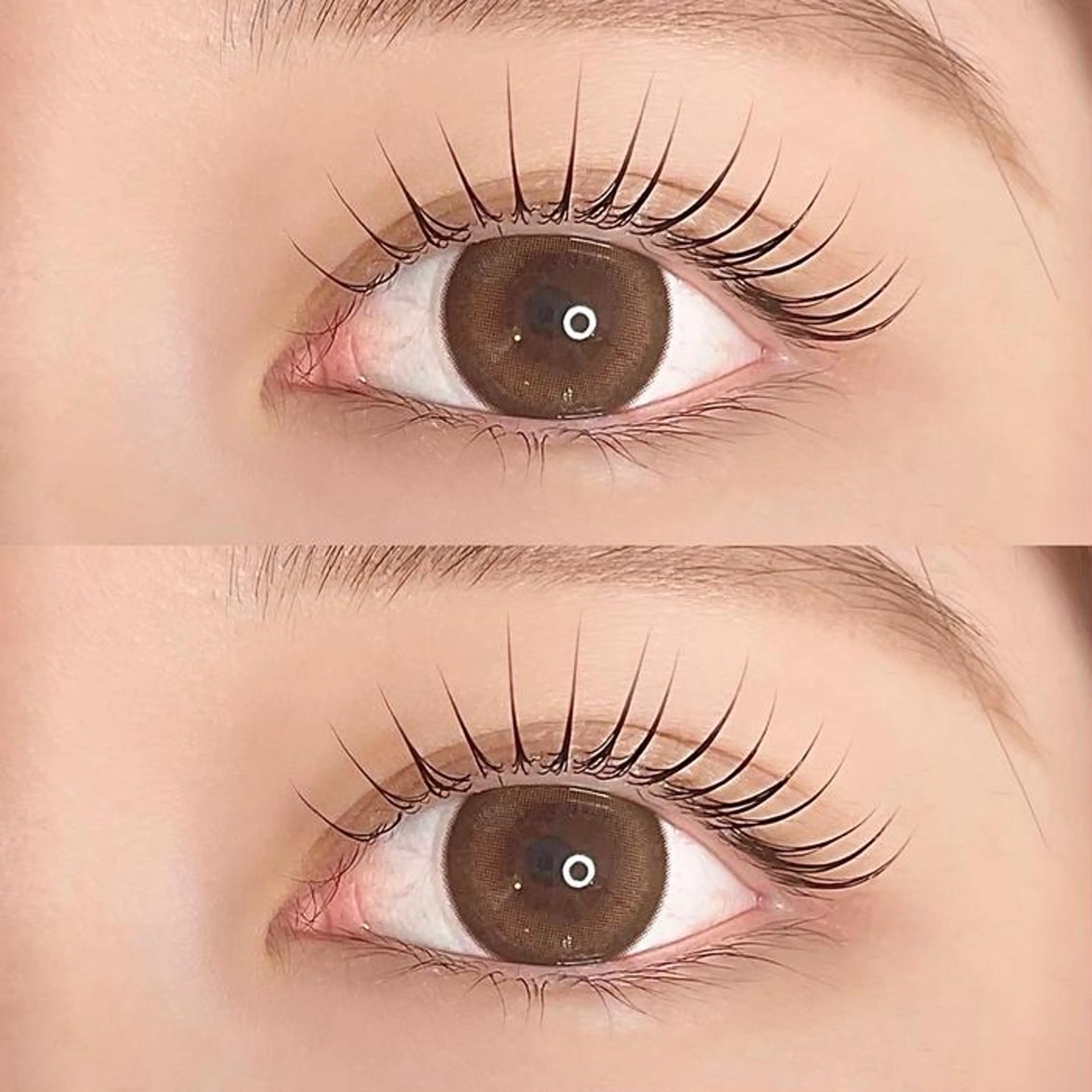 ミニモ限定クーポン¥5500まつ毛パーマ&パリジェンヌ➕眉カットの写真