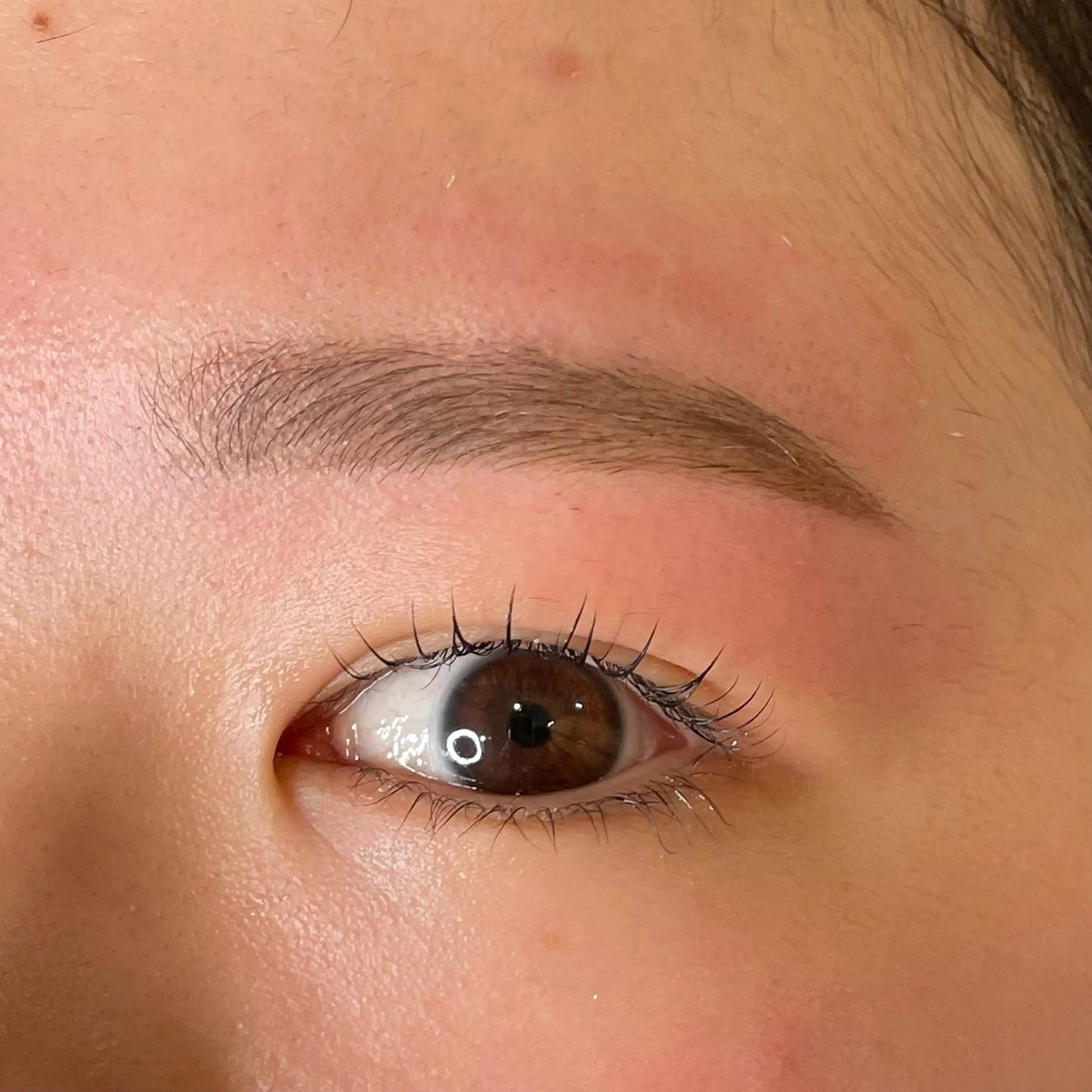 🤍[SET]アイブロウスタイリング+まつ毛パーマの写真