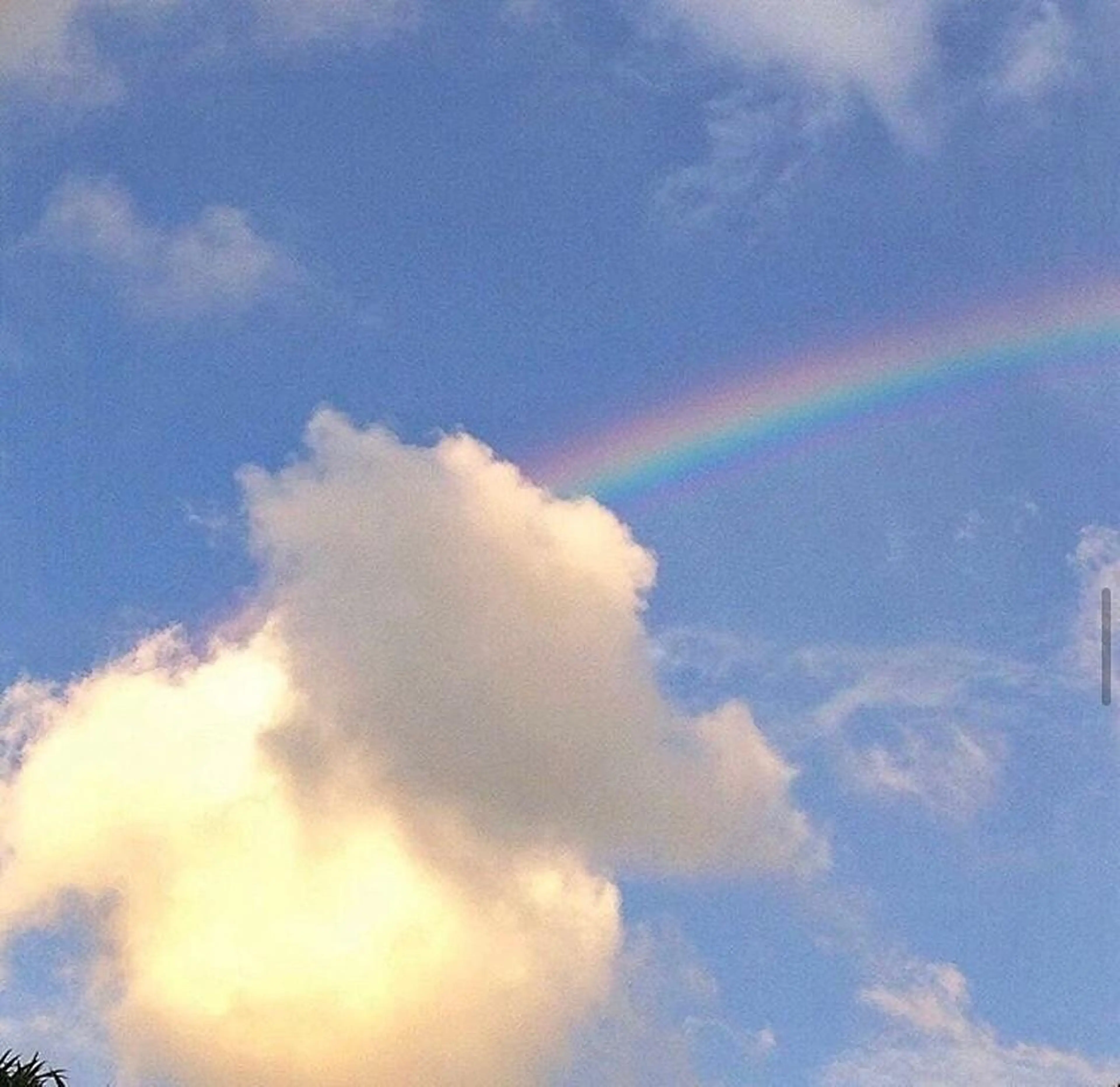 マツエク・マツパ 🌹Princess Rose小池🌹のマツエク・マツパデザイン