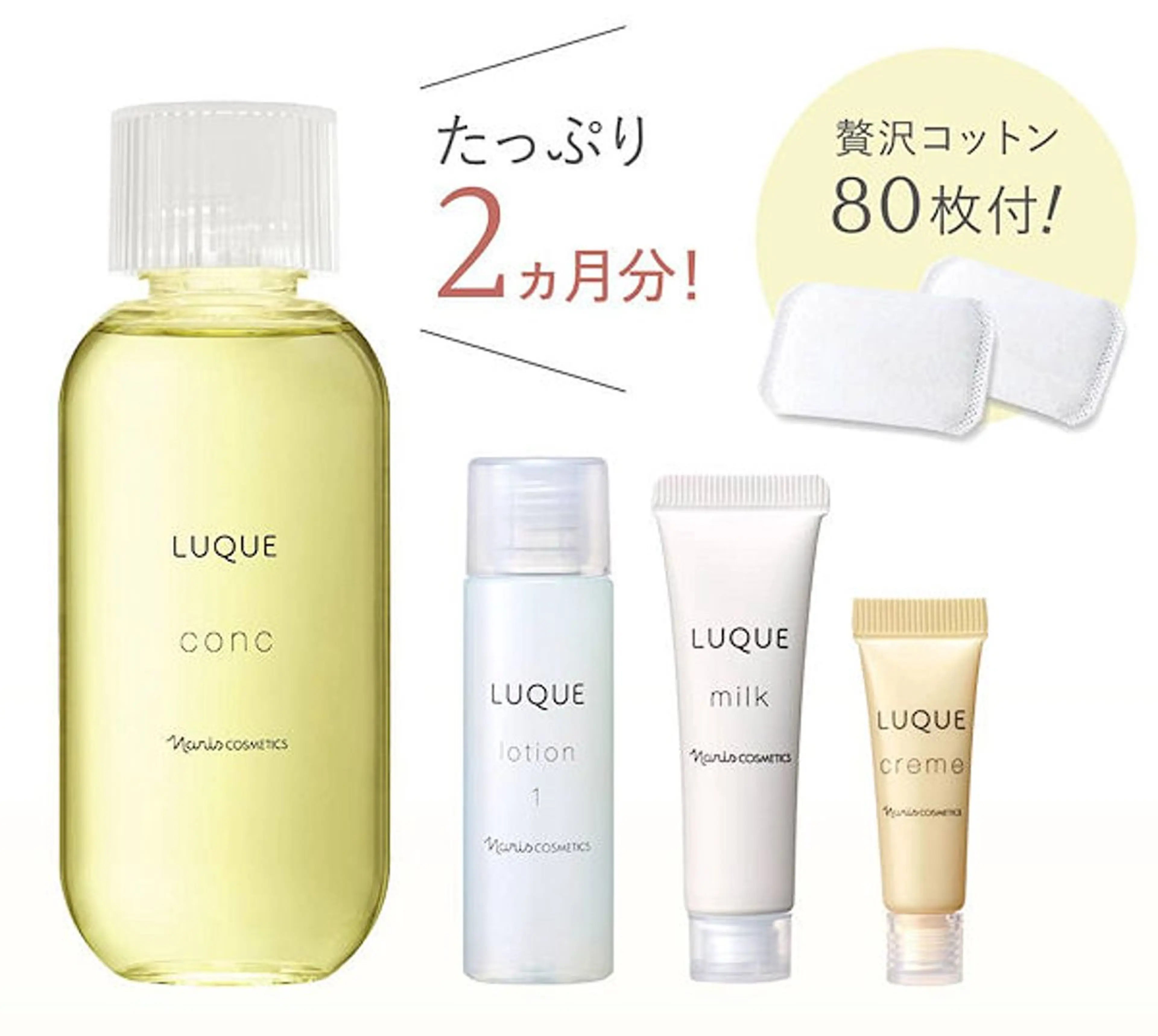 ✨ふきとり実感コース✨の写真