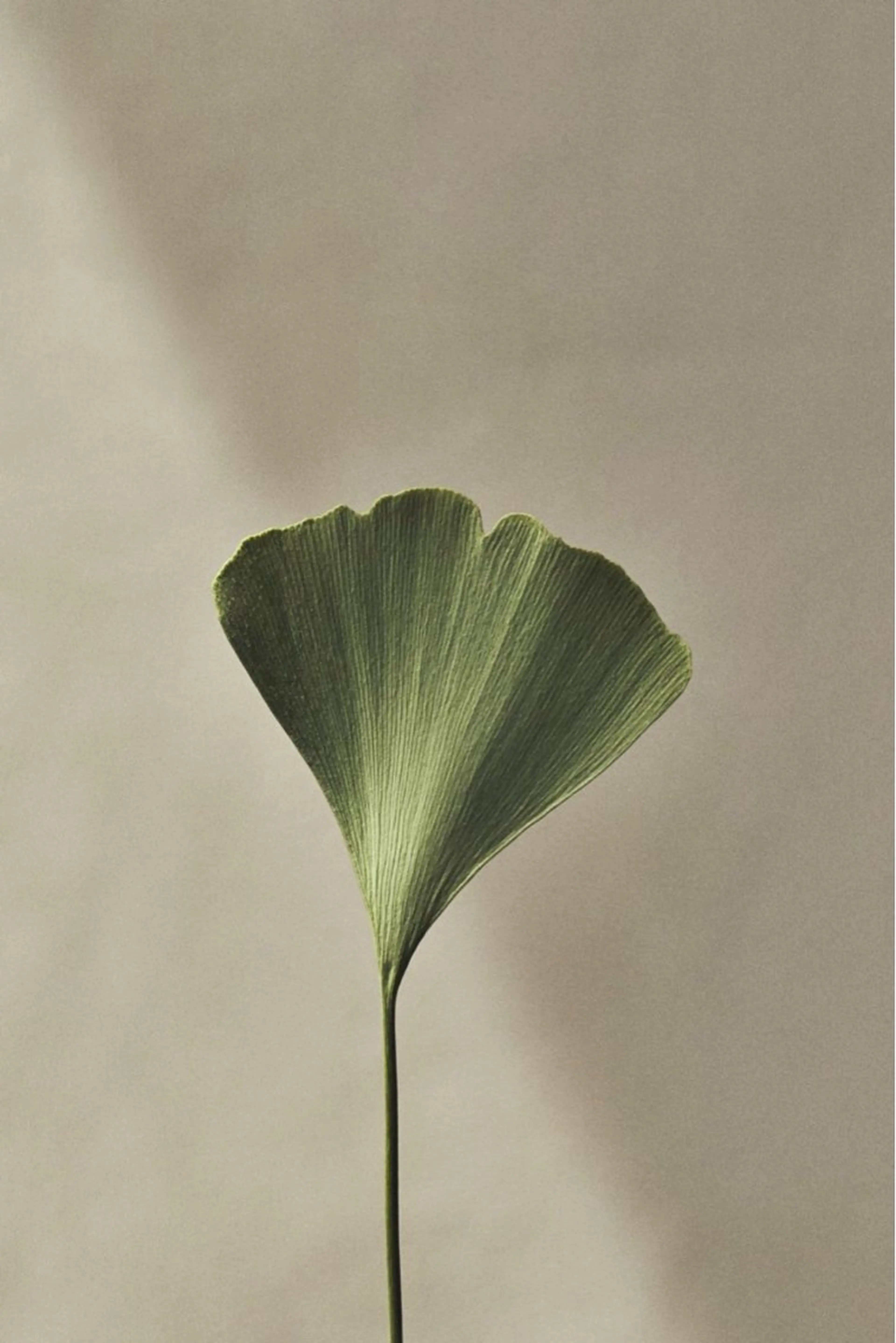 マツエク・マツパ 🦋MaaZlash 南流山FUKA🤍のマツエク・マツパデザイン