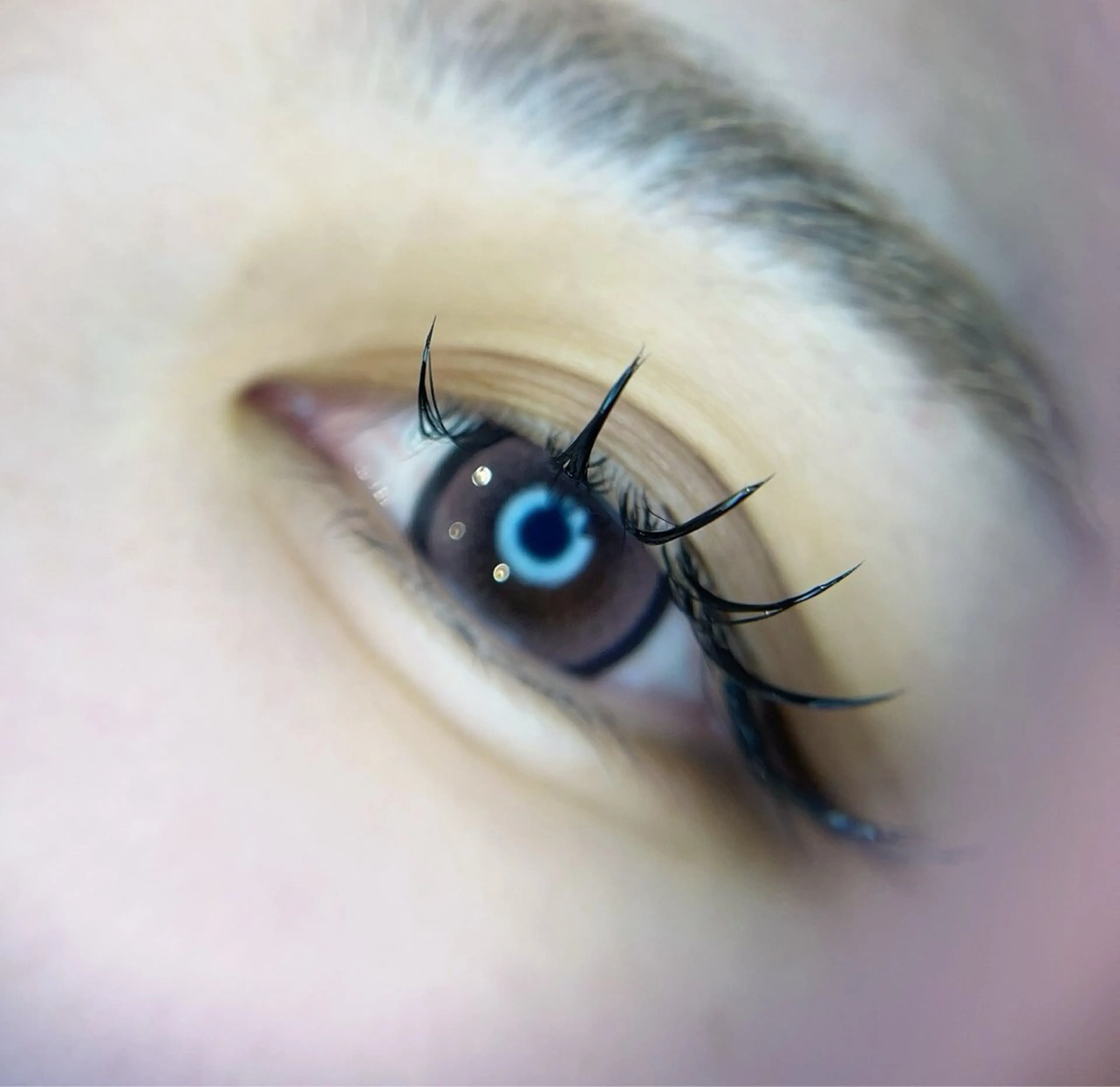 マツエク・マツパ 束感まつ毛 ビューティーサロン エクラ【薬院•平尾】のマツエク・マツパデザイン