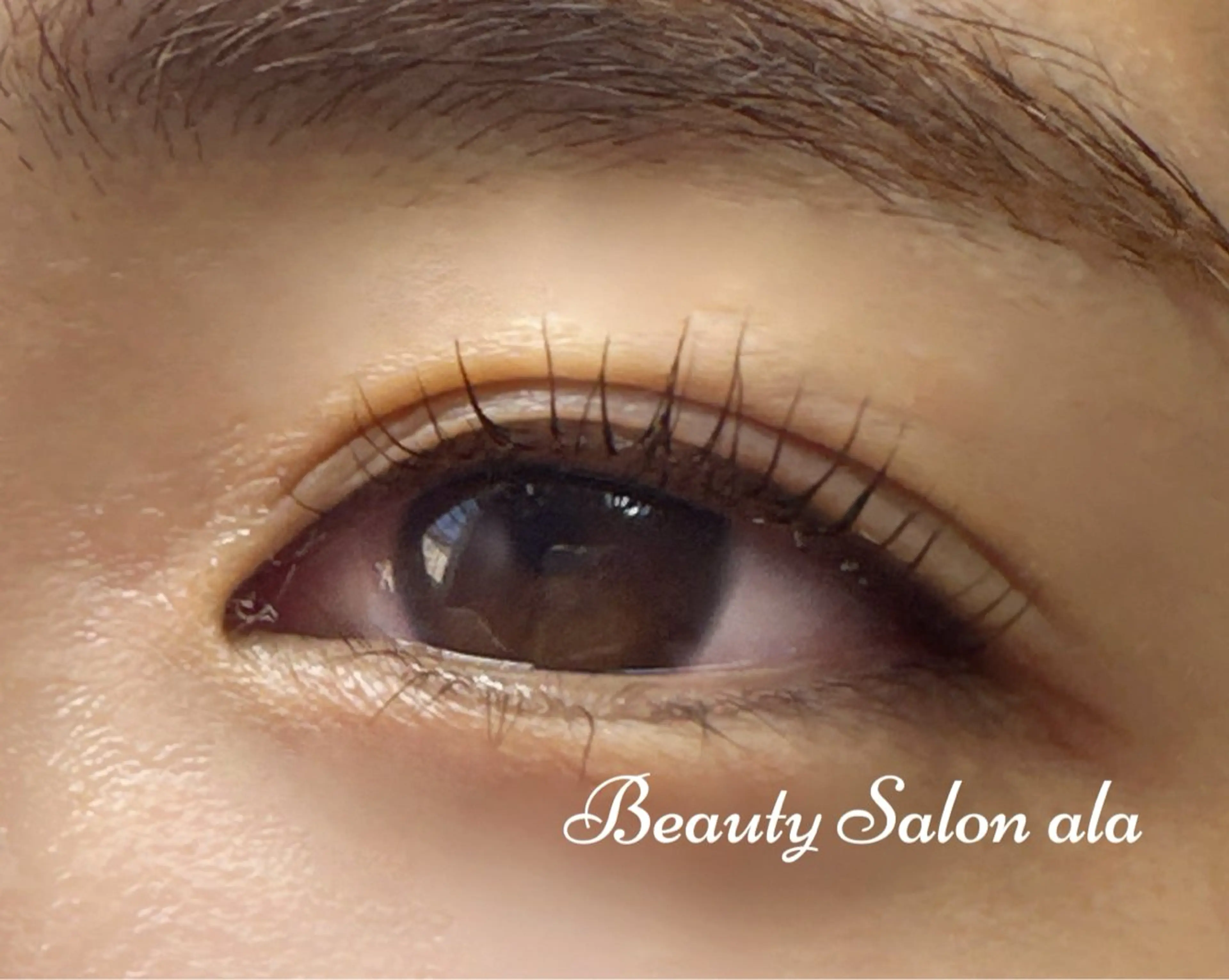 まつげパーマ＋ブラックティント【マスカラパーマ】の写真