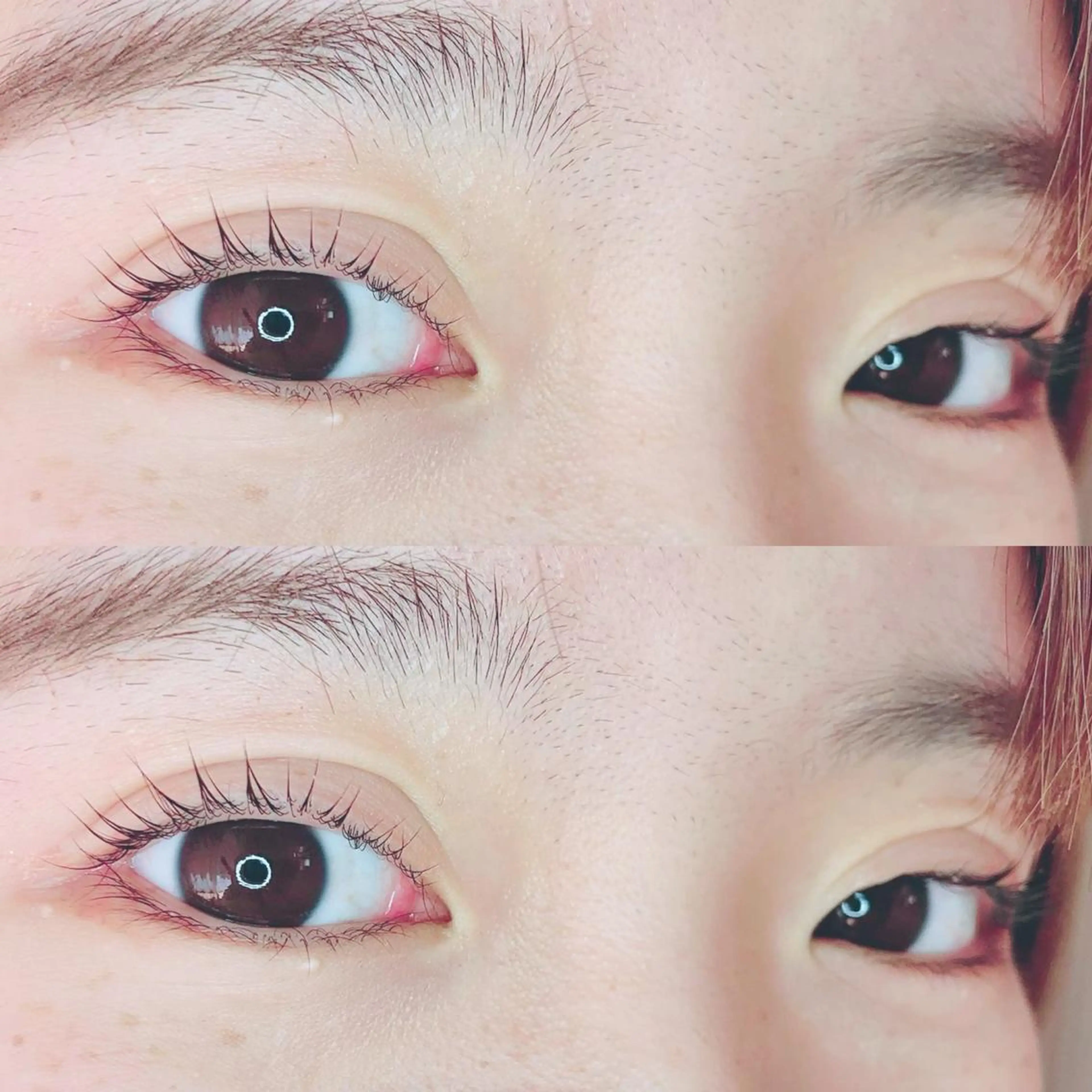 マツエク・マツパ パリジェンヌラッシュリフト マツパ パーフェクトウィンク ちぢいわみのりのマツエク・マツパデザイン